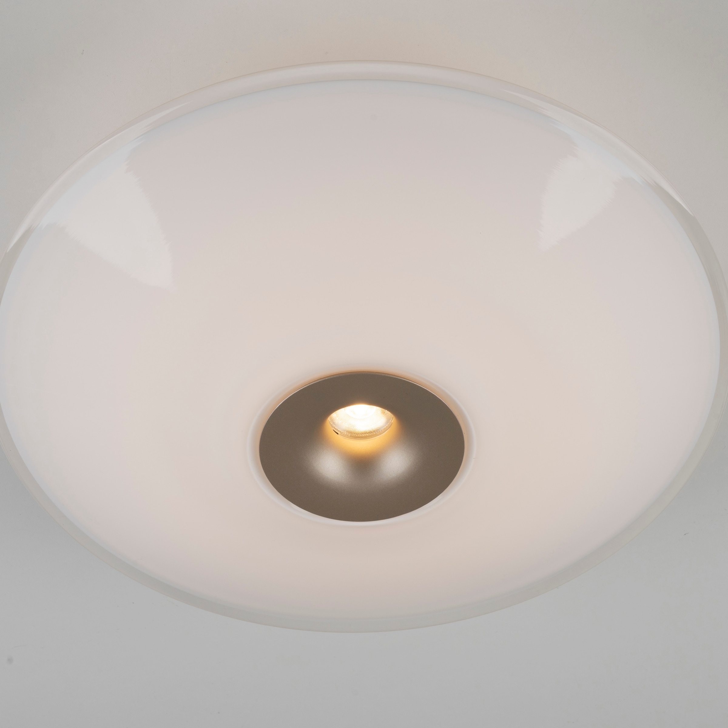 Paul Neuhaus LED Deckenleuchte »ELIPSA« LED-Board 1 Stk. Warmweiß Dimmfähig über separaten Tronicdimmer, Opalglas