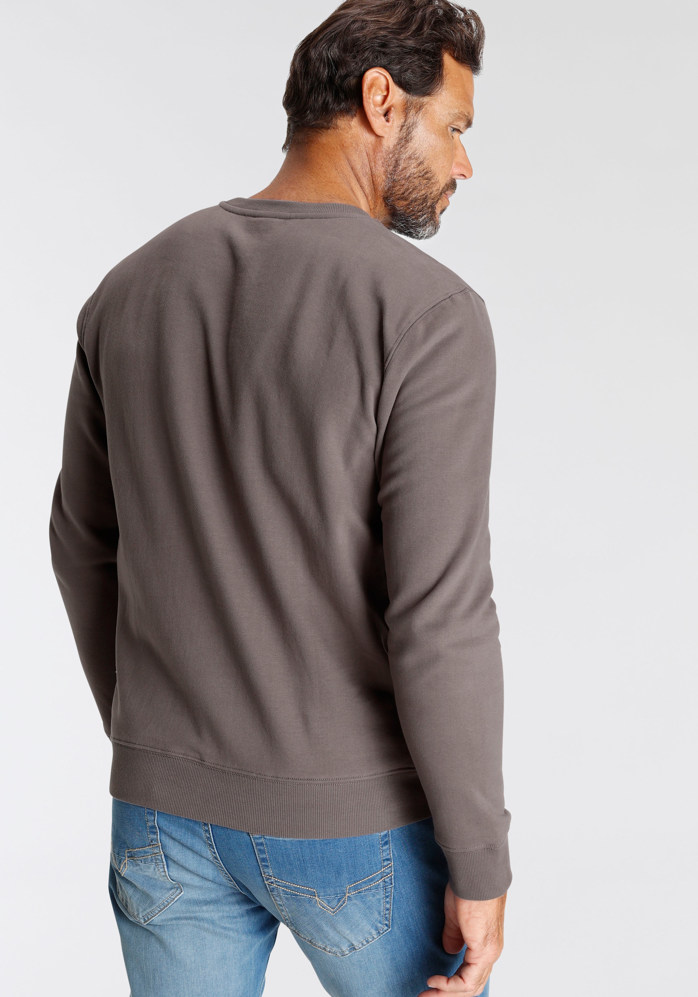 H.I.S Sweater, Langarm, lockere Passform, bestickte Optik, Rundhalsausschnitt