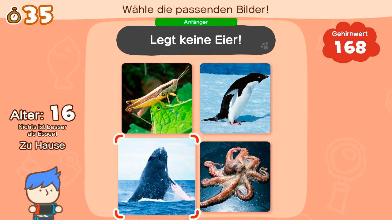 Nintendo Switch Spielekonsole »Switch + Big Brain Academy: Kopf an Kopf + Everybody 1-2-Switch!«