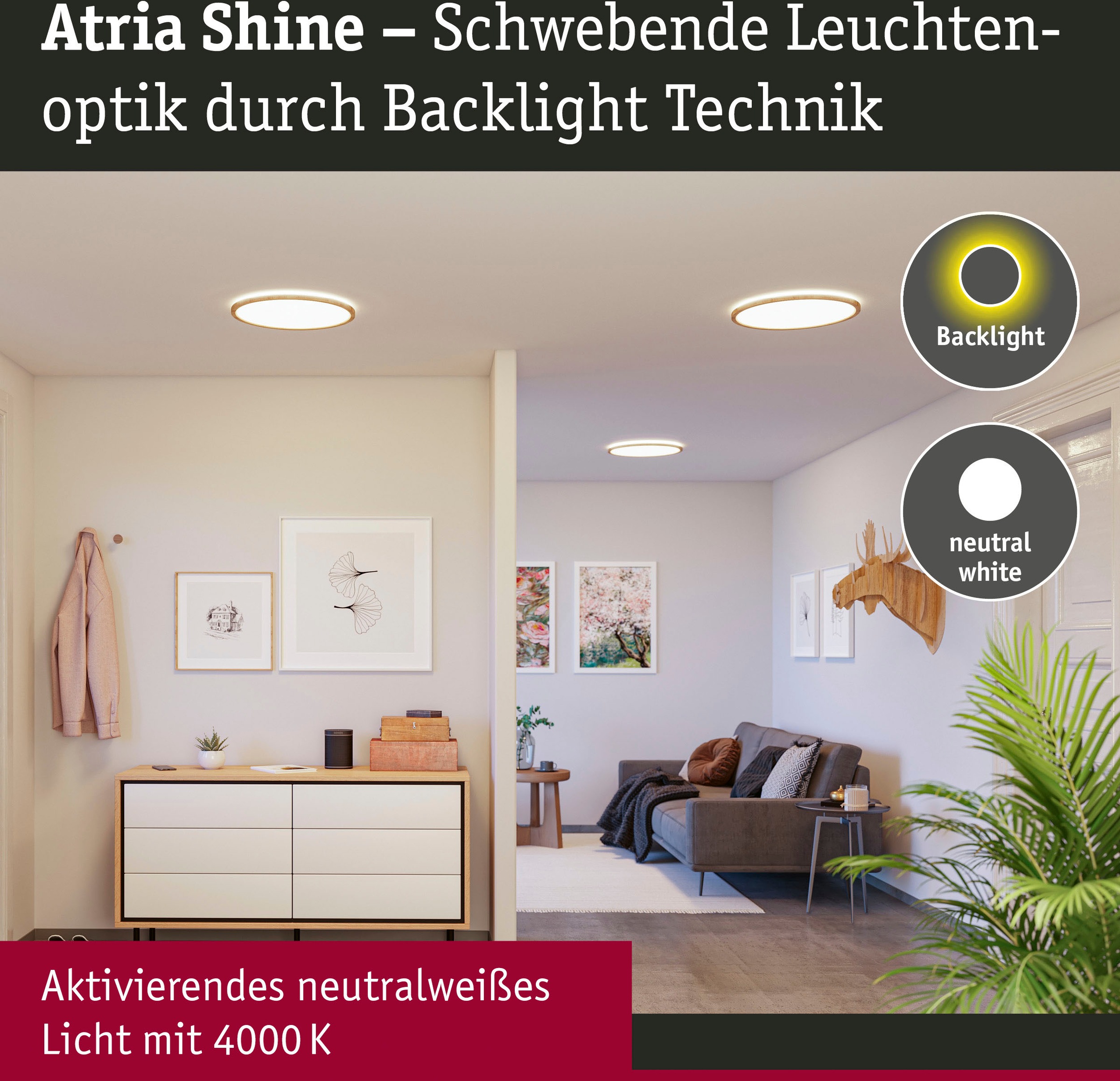 Paulmann LED Panel »Atria Shine 16W 4000K 293mm Eiche Kunststoff IP44«, 1 flammig, Hintergrundbeleuchtung