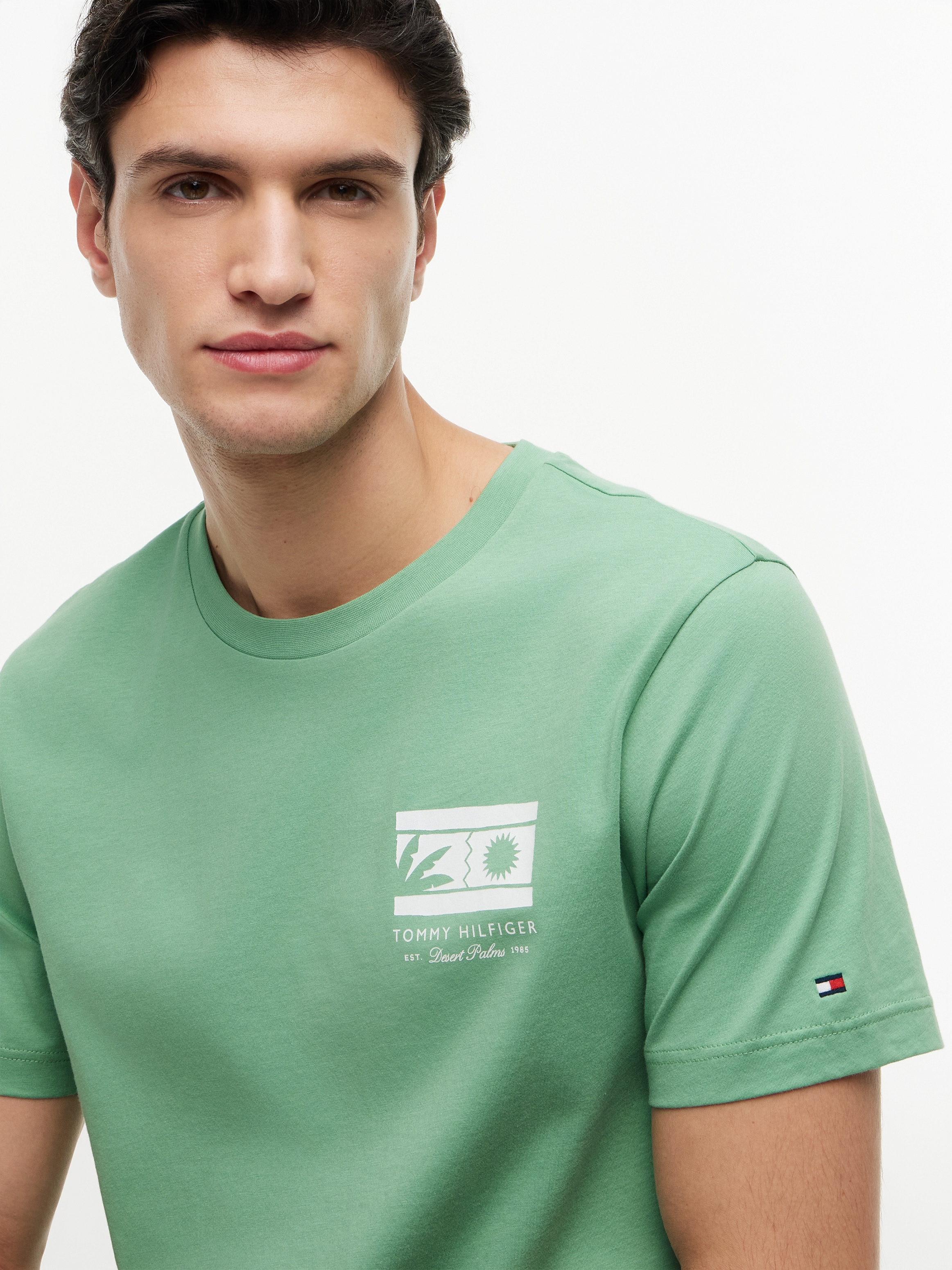 Tommy Hilfiger T-Shirt »MONO SUN GRAPHIC REGULAR TEE« aus Jersey mit Logo-Grafik