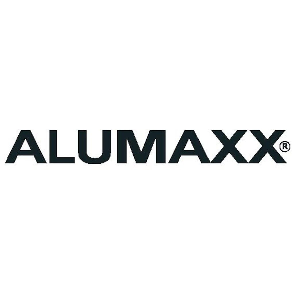 ALUMAXX Pilotenkoffer »Alpha, silber«