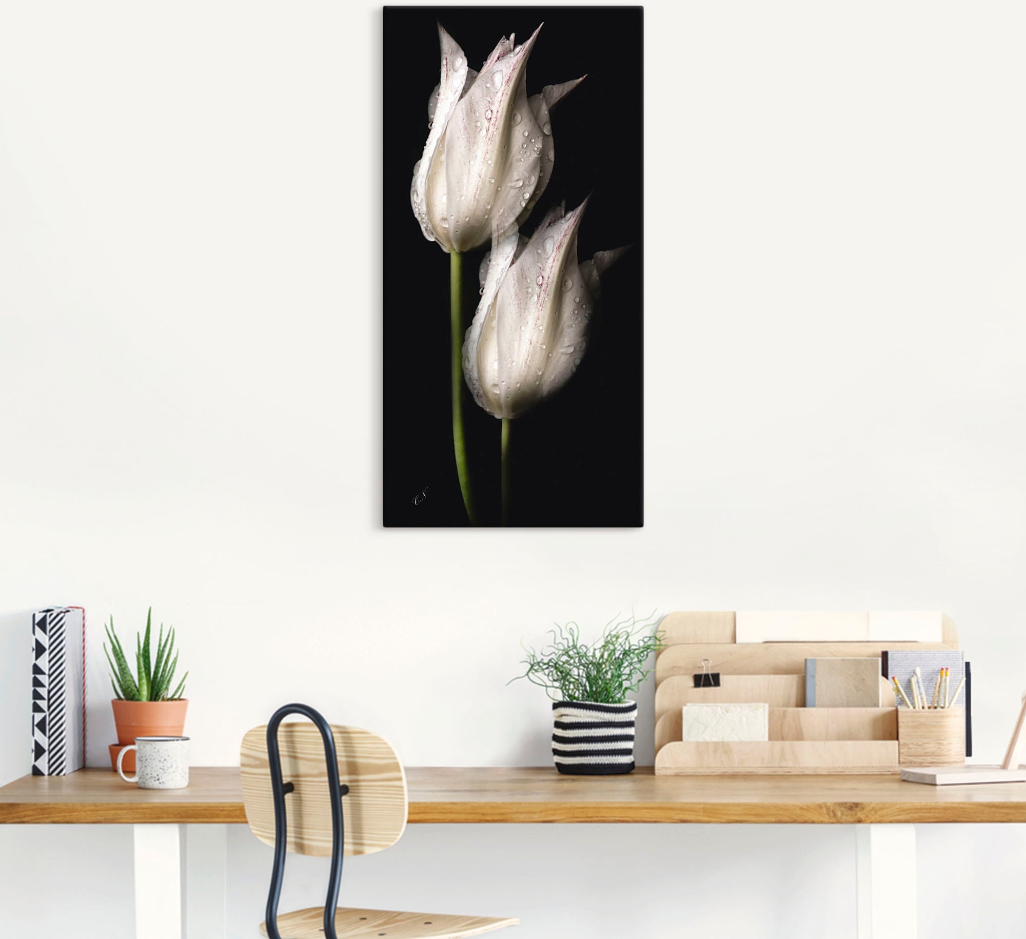 Artland Wandbild »Weiße kaufen versch. (1 Wandaufkleber Blumenbilder, Poster St.), in Nacht«, Leinwandbild, in der Tulpen Größen Alubild, online als oder