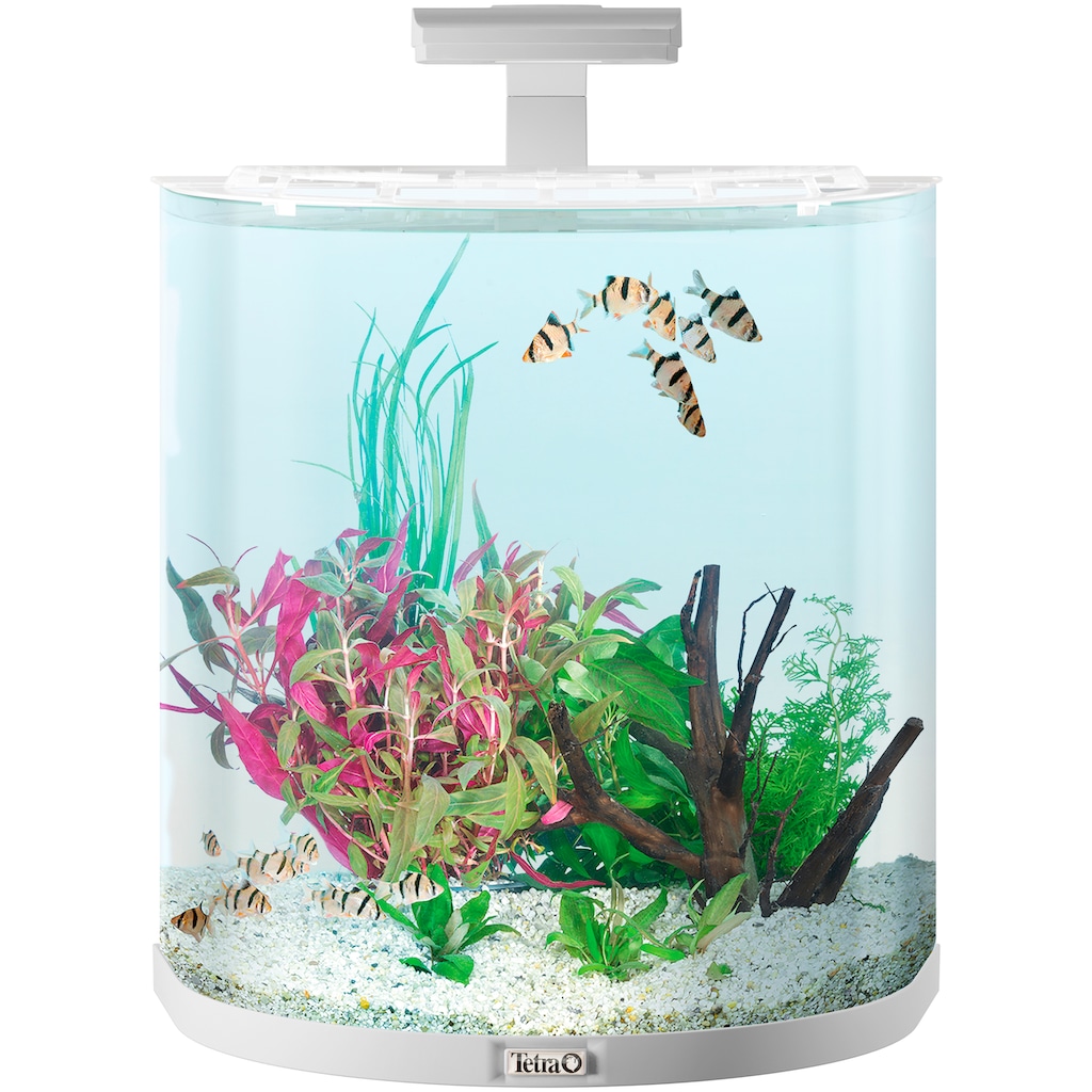 Tetra Aquarium »AquaArt Explorer Line 60l LED«