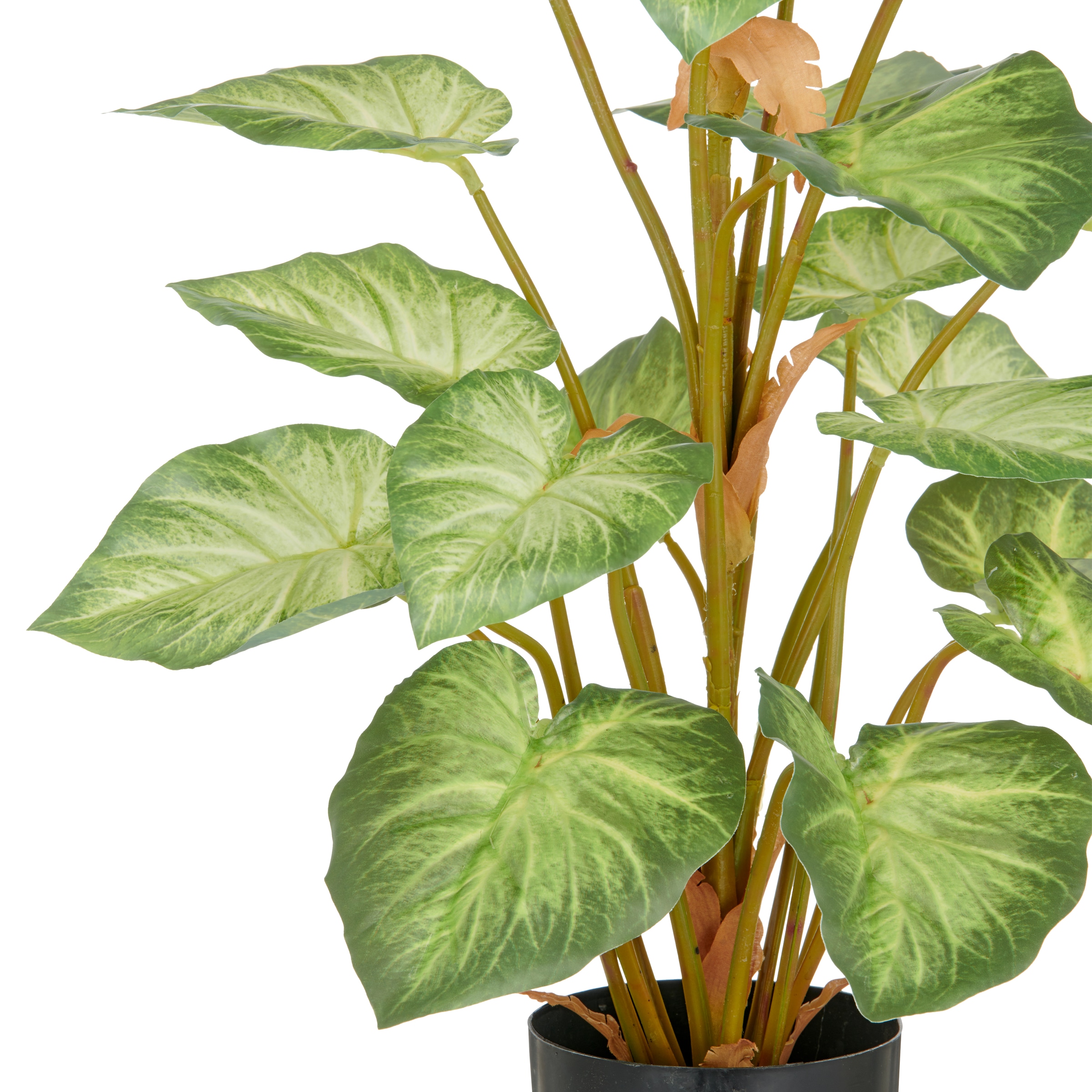 Creativ green Kunstpflanze »Syngonium«, mit schönem Blattwerk