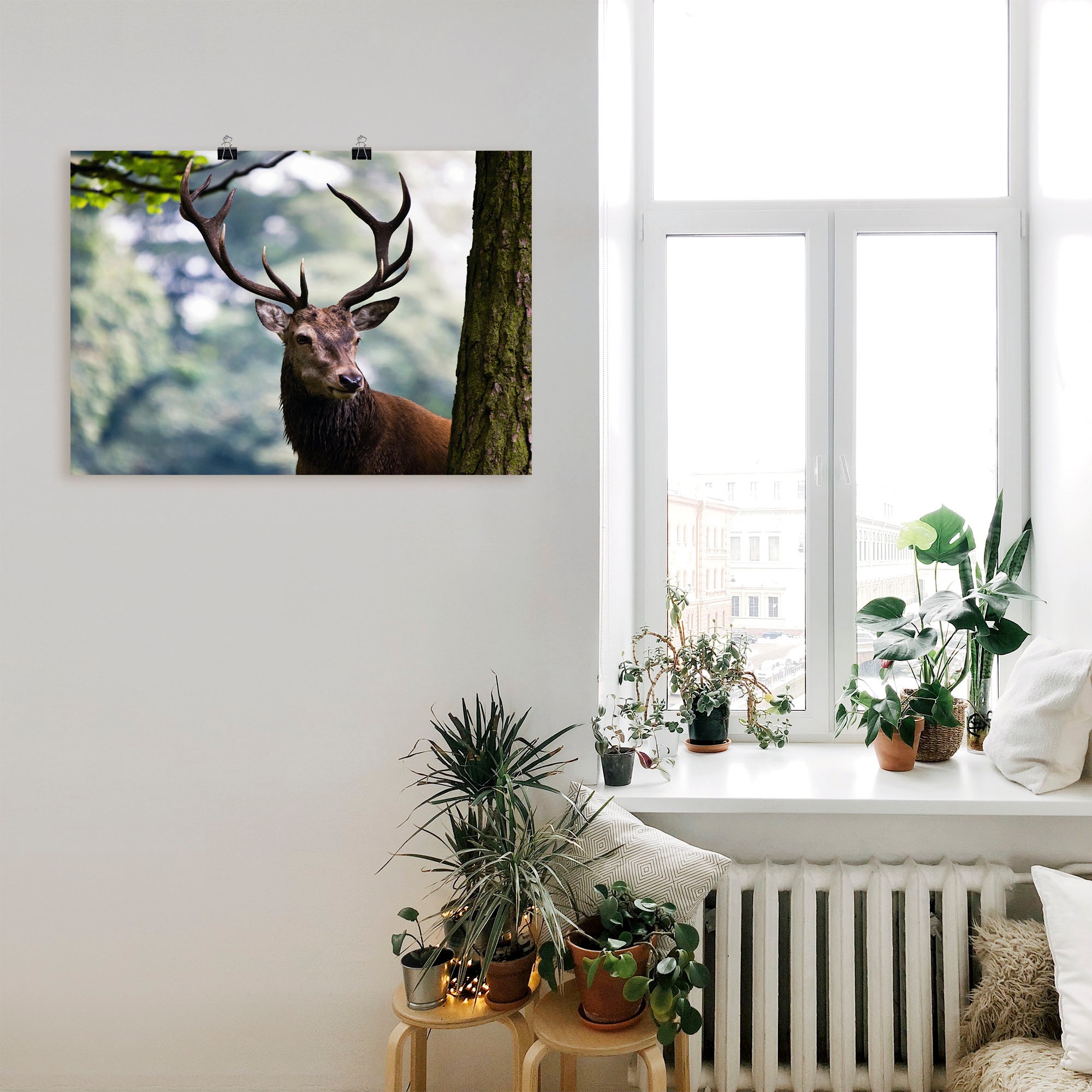 Artland Wandbild »Hirsch«, Wildtiere, (1 St.), als Alubild, Outdoorbild, Leinwandbild, Poster in verschied. Größen
