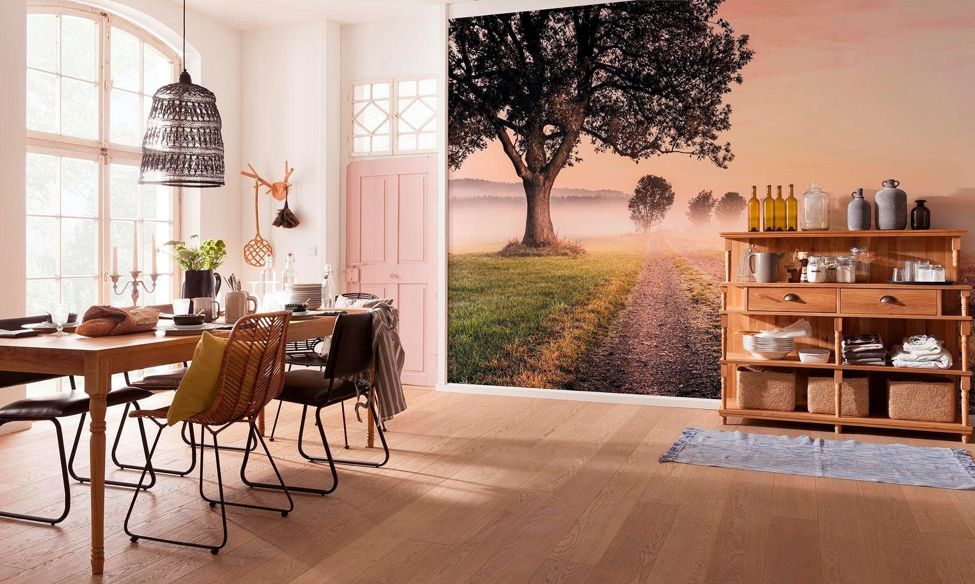 Komar Vliestapete »Digitaldruck Vlies - Misty Morning - Größe 400 x 250 cm«, bedruckt, Wohnzimmer, Schlafzimmer