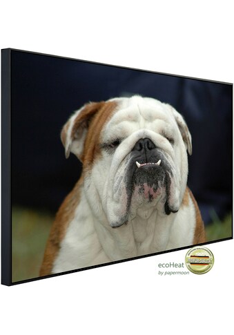 Papermoon Infrarotheizung »Englisches Bulldoggenporträt«, sehr angenehme Strahlungswärme kaufen