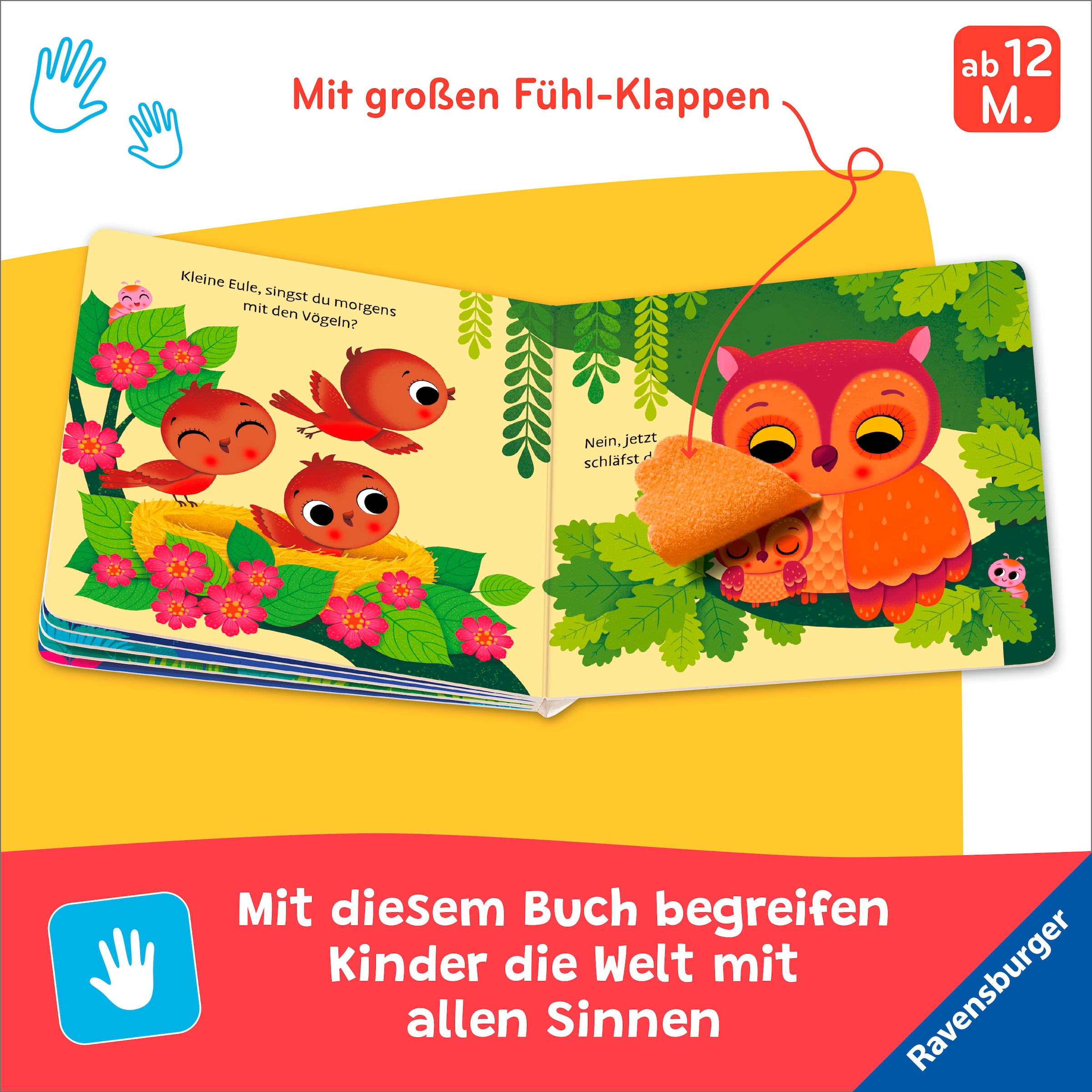 Ravensburger Kinderbuch »Pappbilderbuch, Wo bist du, kleine Eule?«
