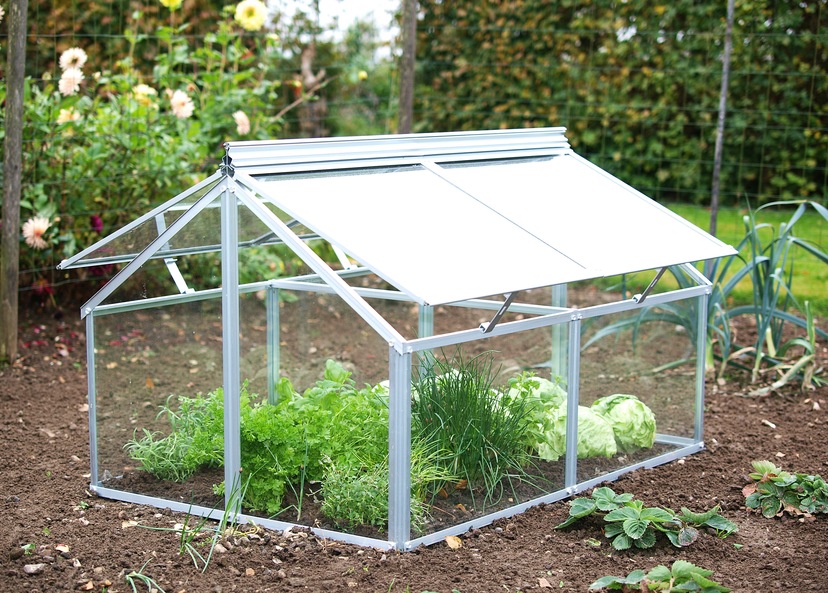 Frühbeet »Gaia Jumbo«, BxTxH: 83x119x72 cm, ESG