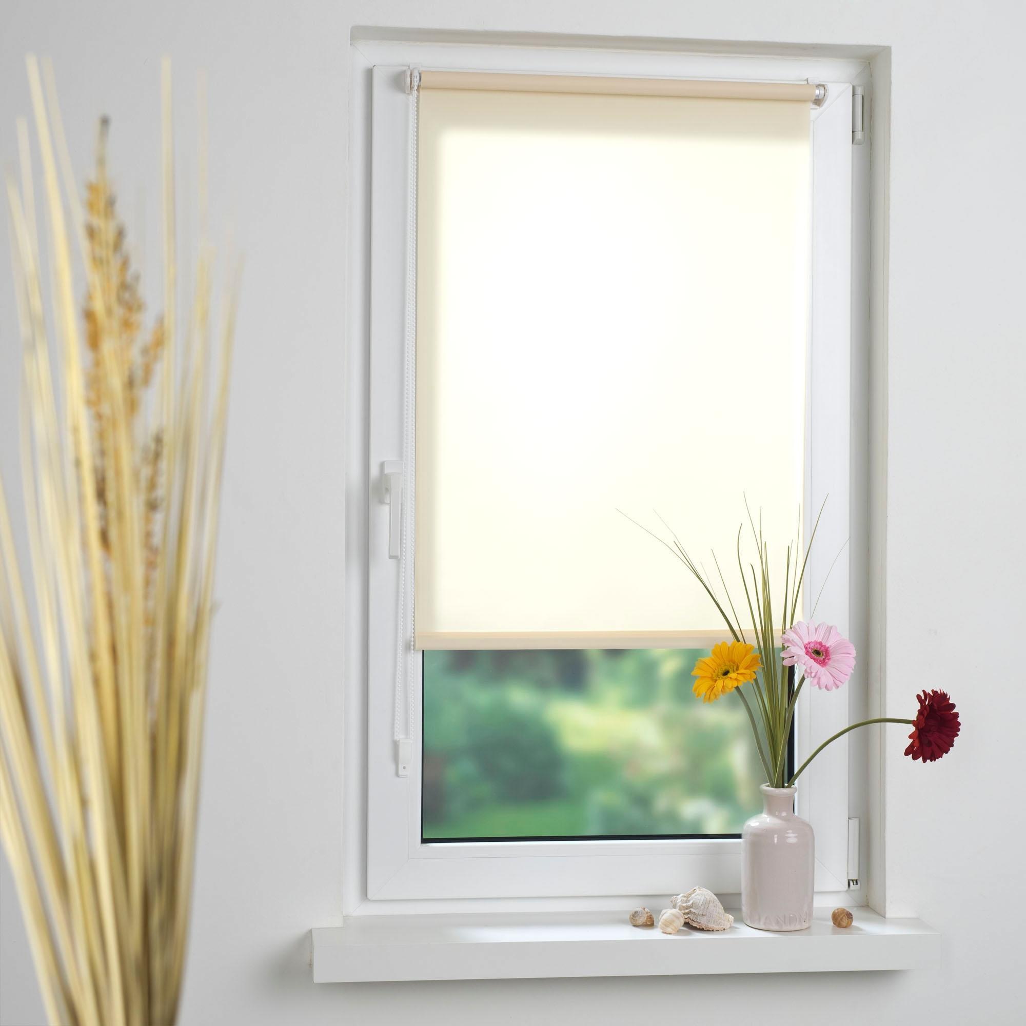 Liedeco Seitenzugrollo "Klemmfix" Lichtschutz ohne Bohren inkl. Klemmträger günstig online kaufen