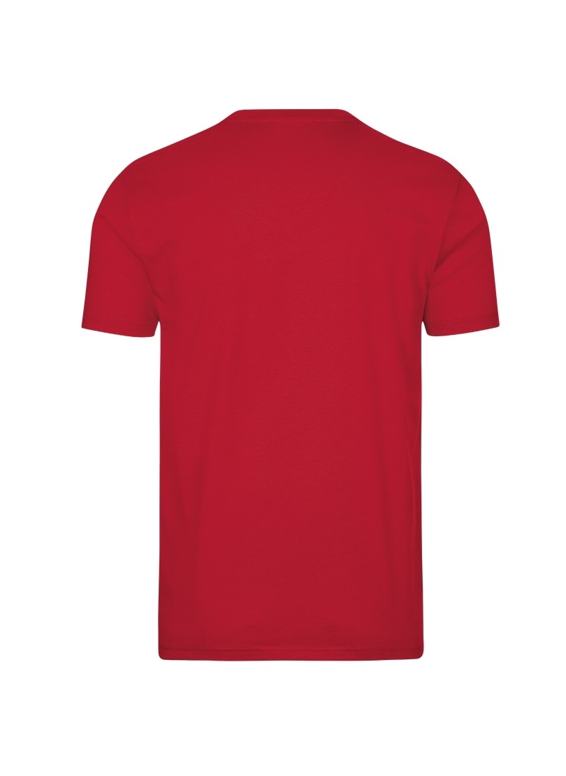 Trigema T-Shirt »TRIGEMA V-Shirt DELUXE«, (1 tlg.)
