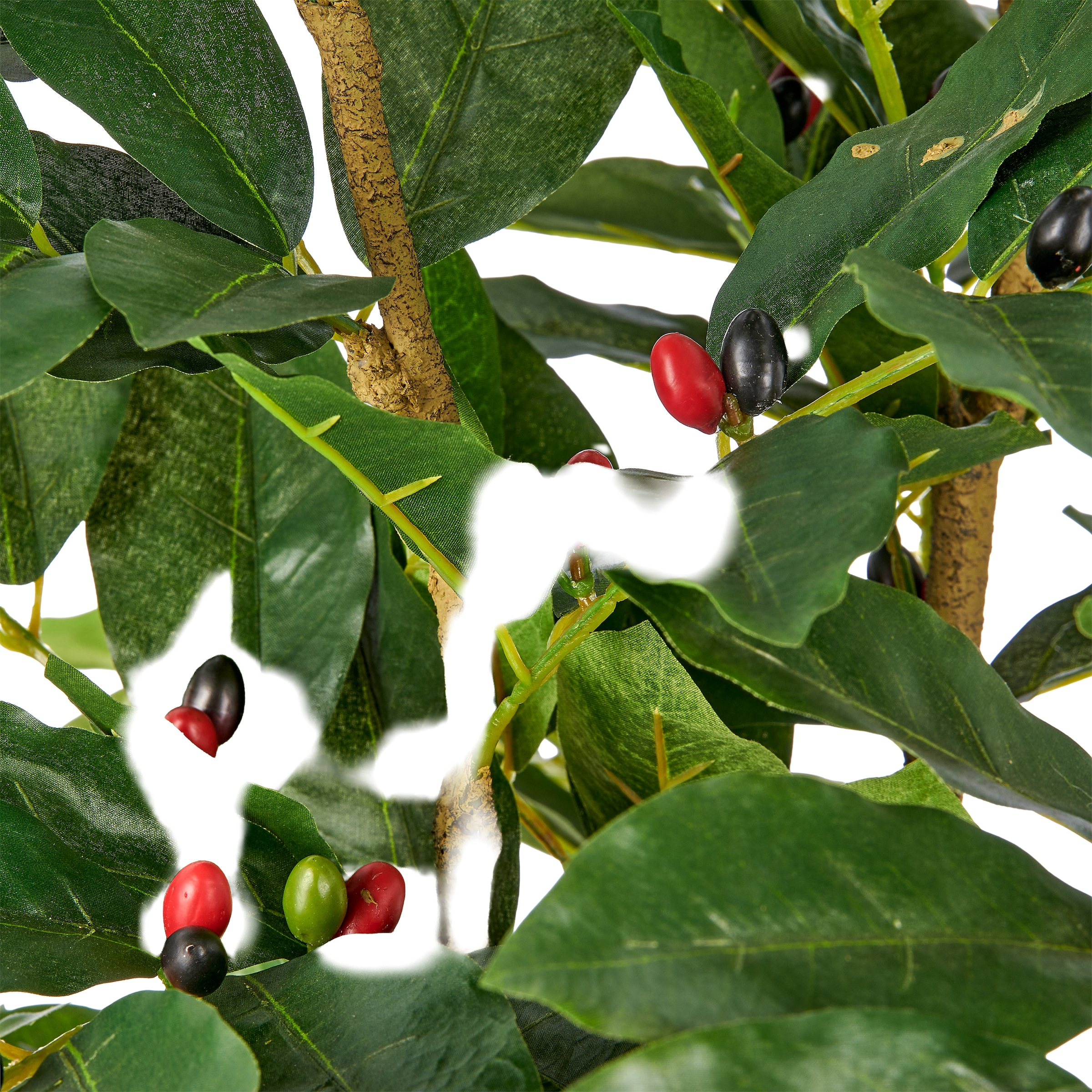 Creativ green Kunstbaum »Coffea« mit Deko-Früchten