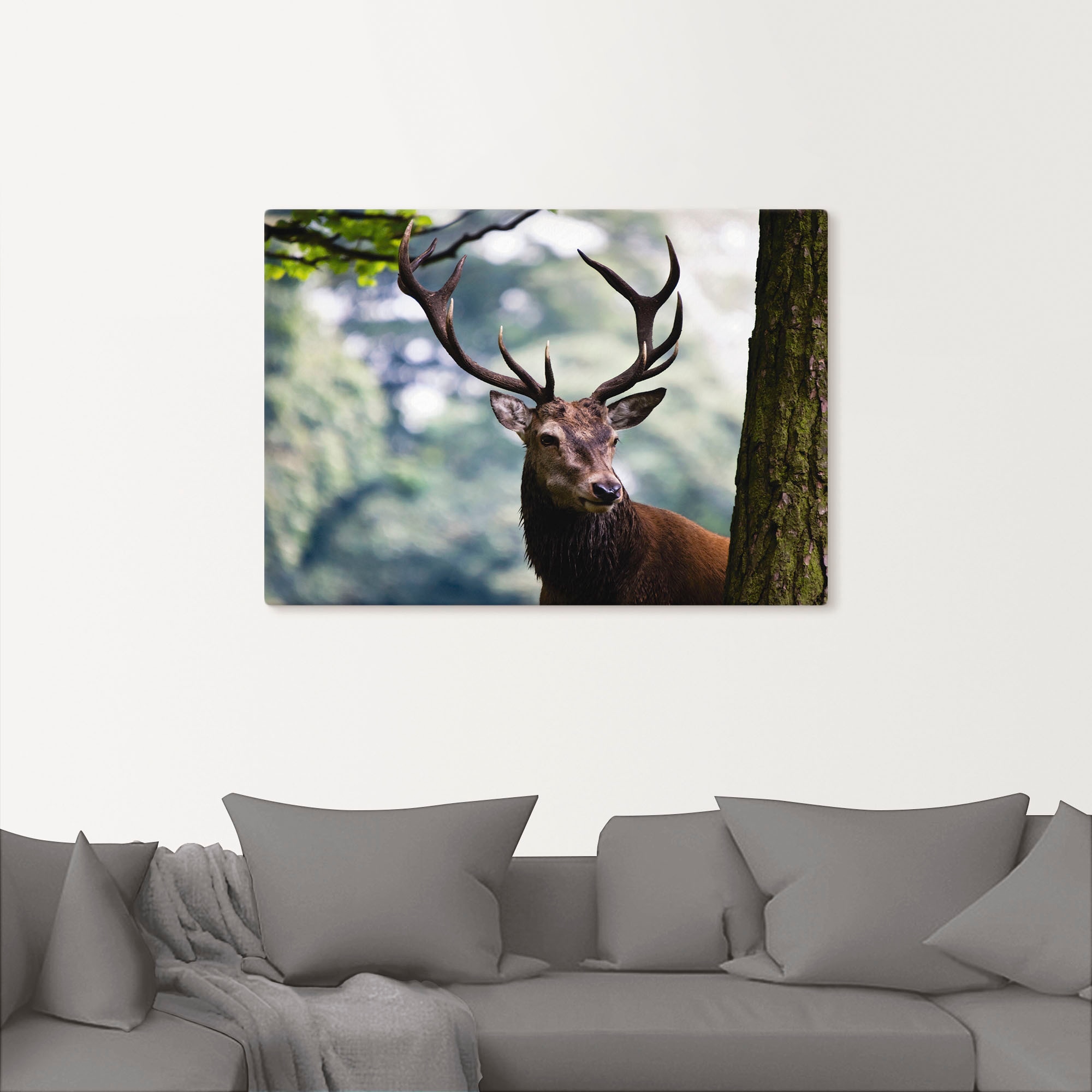 Artland Wandbild »Hirsch«, Wildtiere, (1 St.), als Alubild, Outdoorbild, Leinwandbild, Poster in verschied. Größen