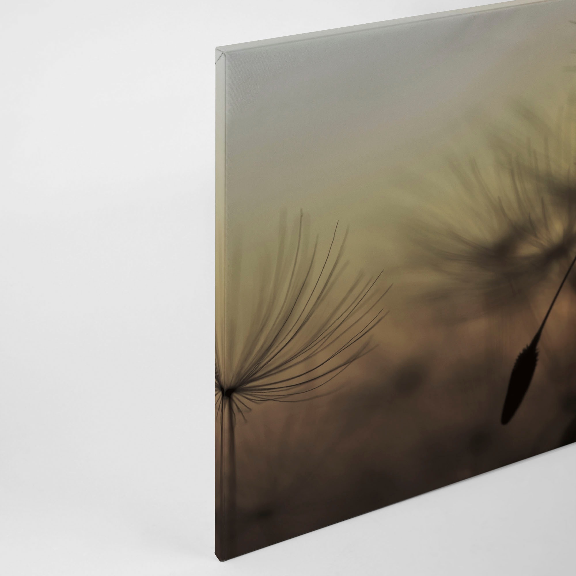 A.S. Création Leinwandbild »Flying Dandelion«, Keilrahmenbild