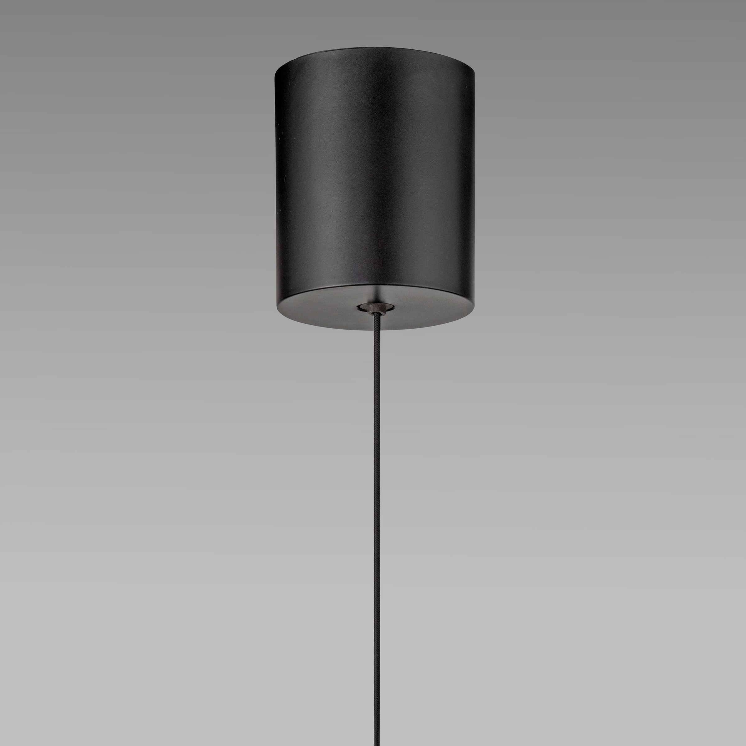 Neuhaus PURE LED Pendelleuchte »PURE E-Moon« LED-Board 1 Stk. warmweiß - kaltweiß e-LIFT® Funktion, CCT, dimmbar über Fernbedienung