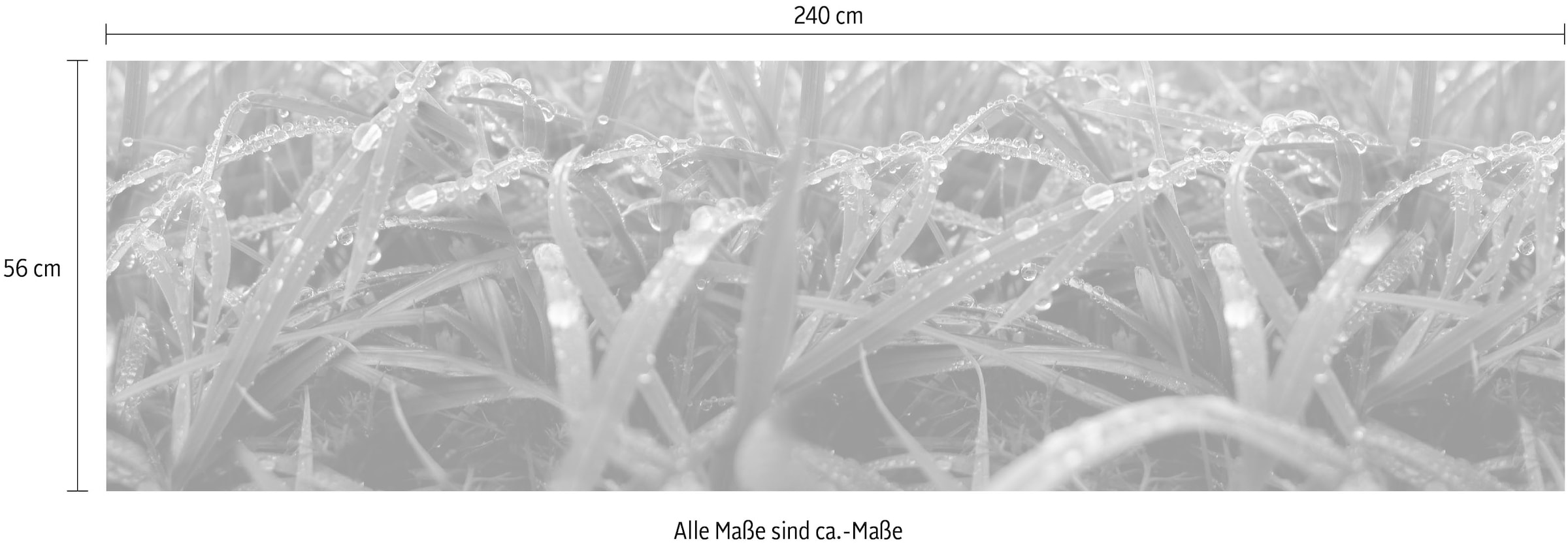 Express Küchen Küchenrückwand »"Regenwald", als Spritzschutz geeignet, mit Schutzlack versehen«, (1 tlg.), in verschiedenen Breiten