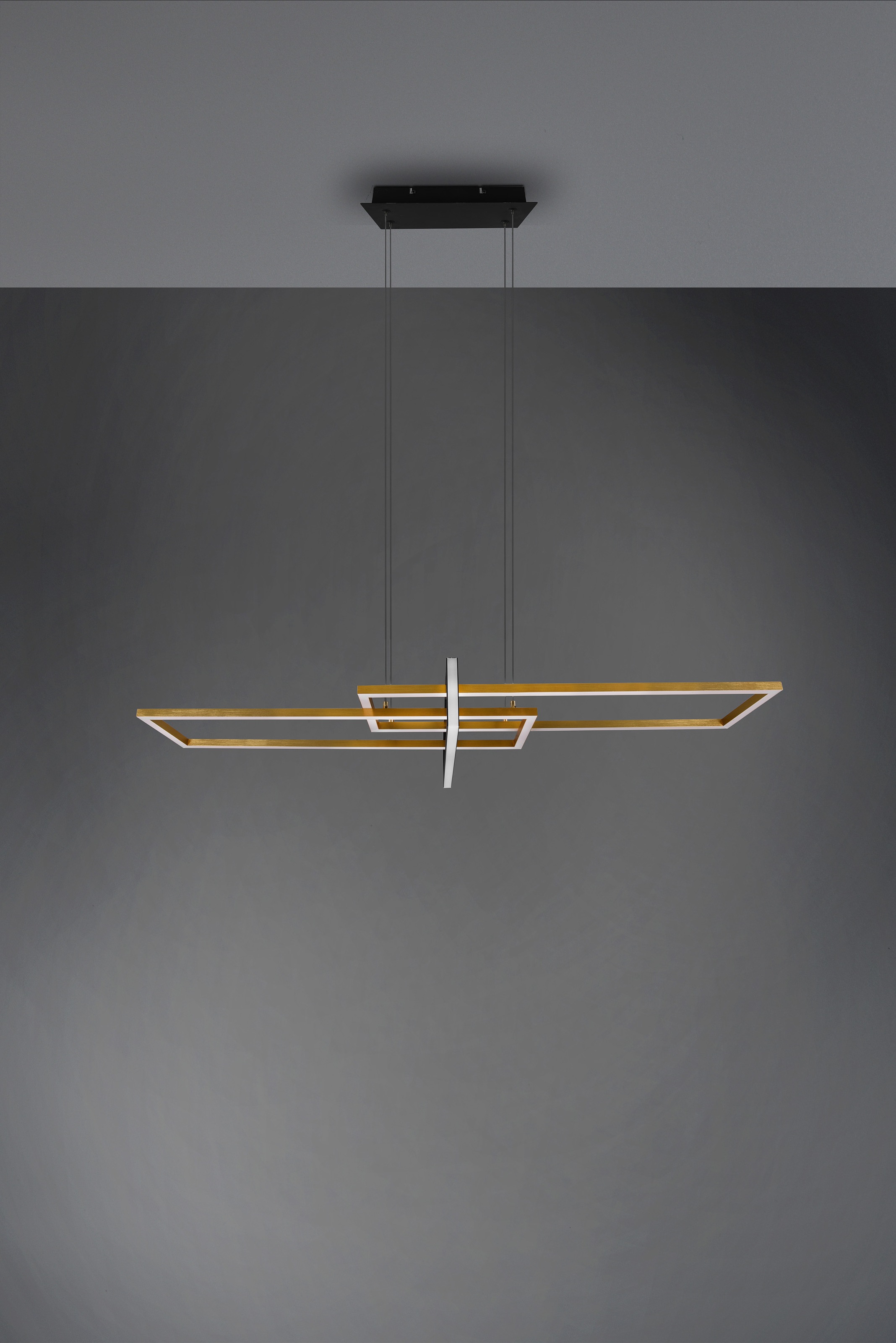TRIO Leuchten LED Pendelleuchte »ALICA«, 1 flammig, Leuchtmittel LED-Modul | LED fest integriert, mit Switch Dimmer, über Wandschalter dimmbar, Abhängung 150 cm