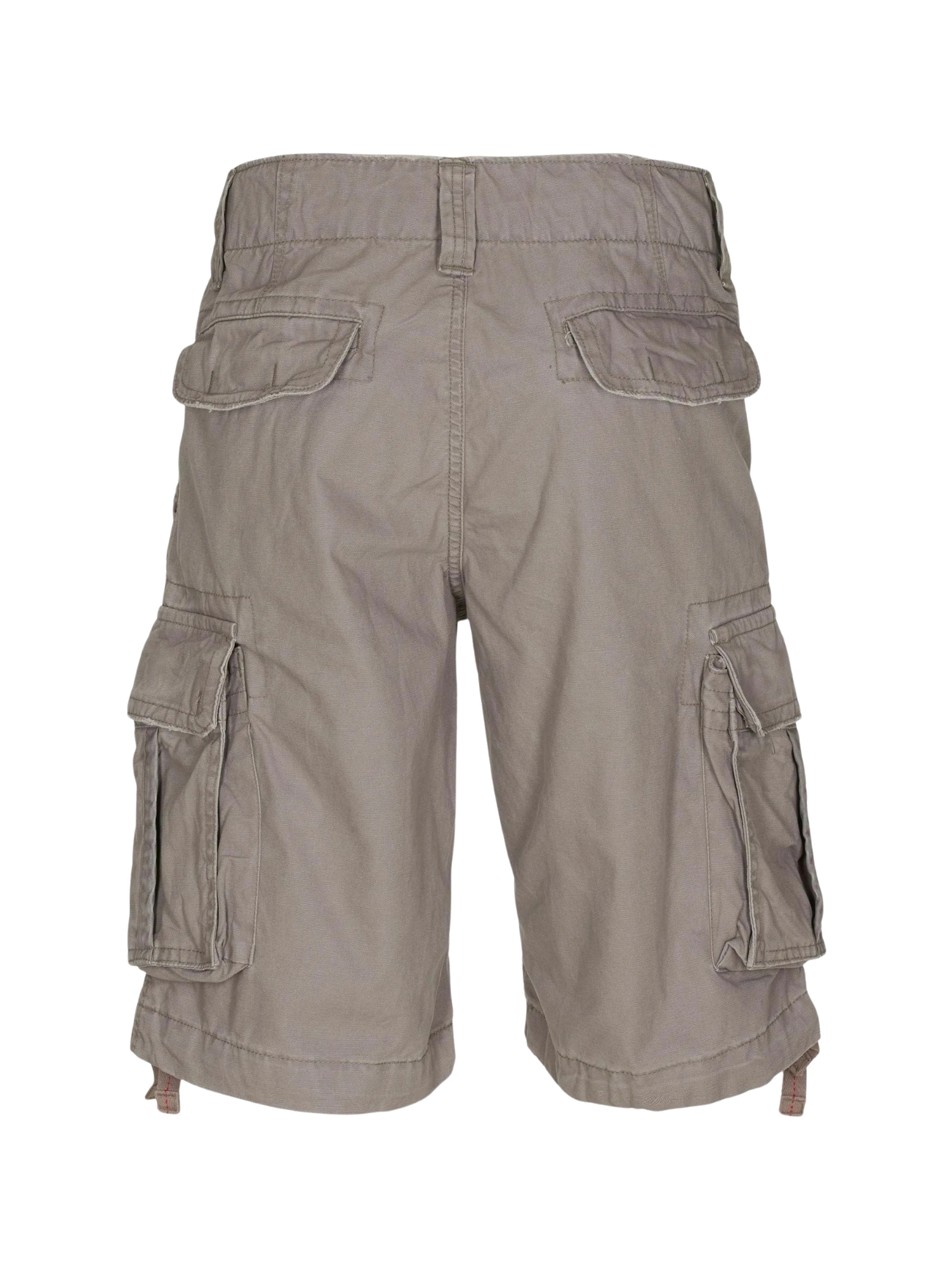 Molecule Cargoshorts »Molecule Cargo Shorts Cyclones«