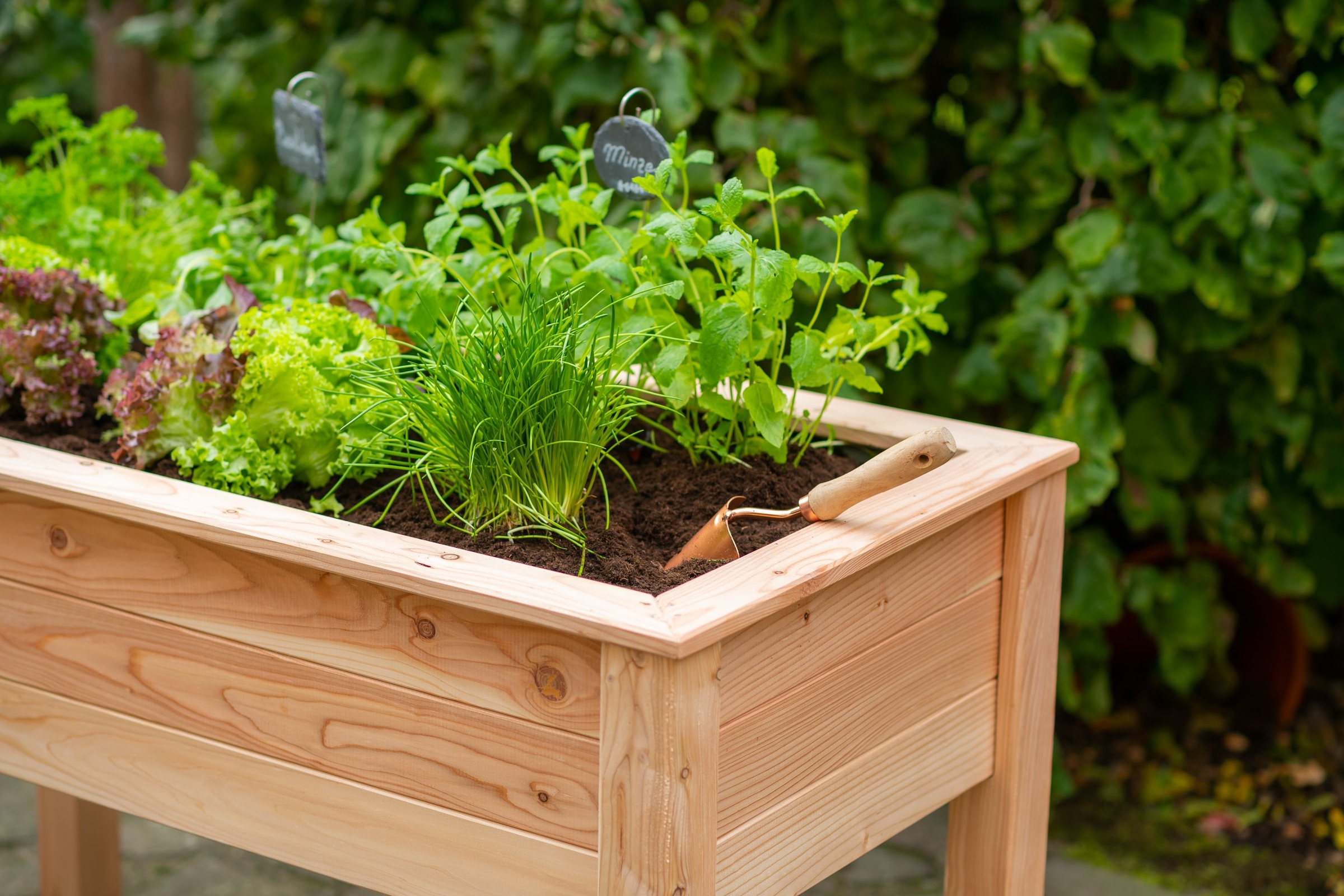 WESTMANN Hochbeet »Emily« 100 % FSC®-zertifiziertes Lärchenholz