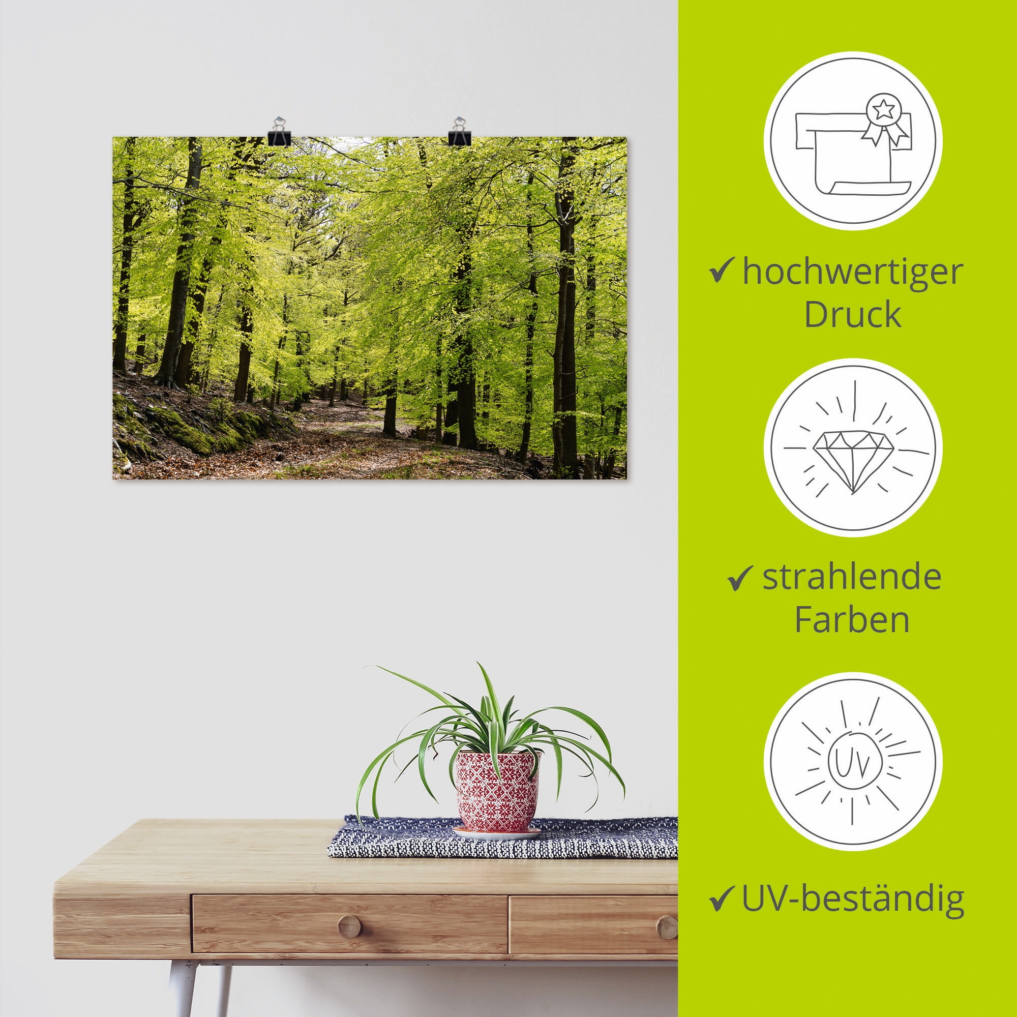 Artland Wandbild »Die Buchen im Frühling«, Wald, (1 St.), als Alubild, Outdoorbild, Leinwandbild, Poster, Wandaufkleber