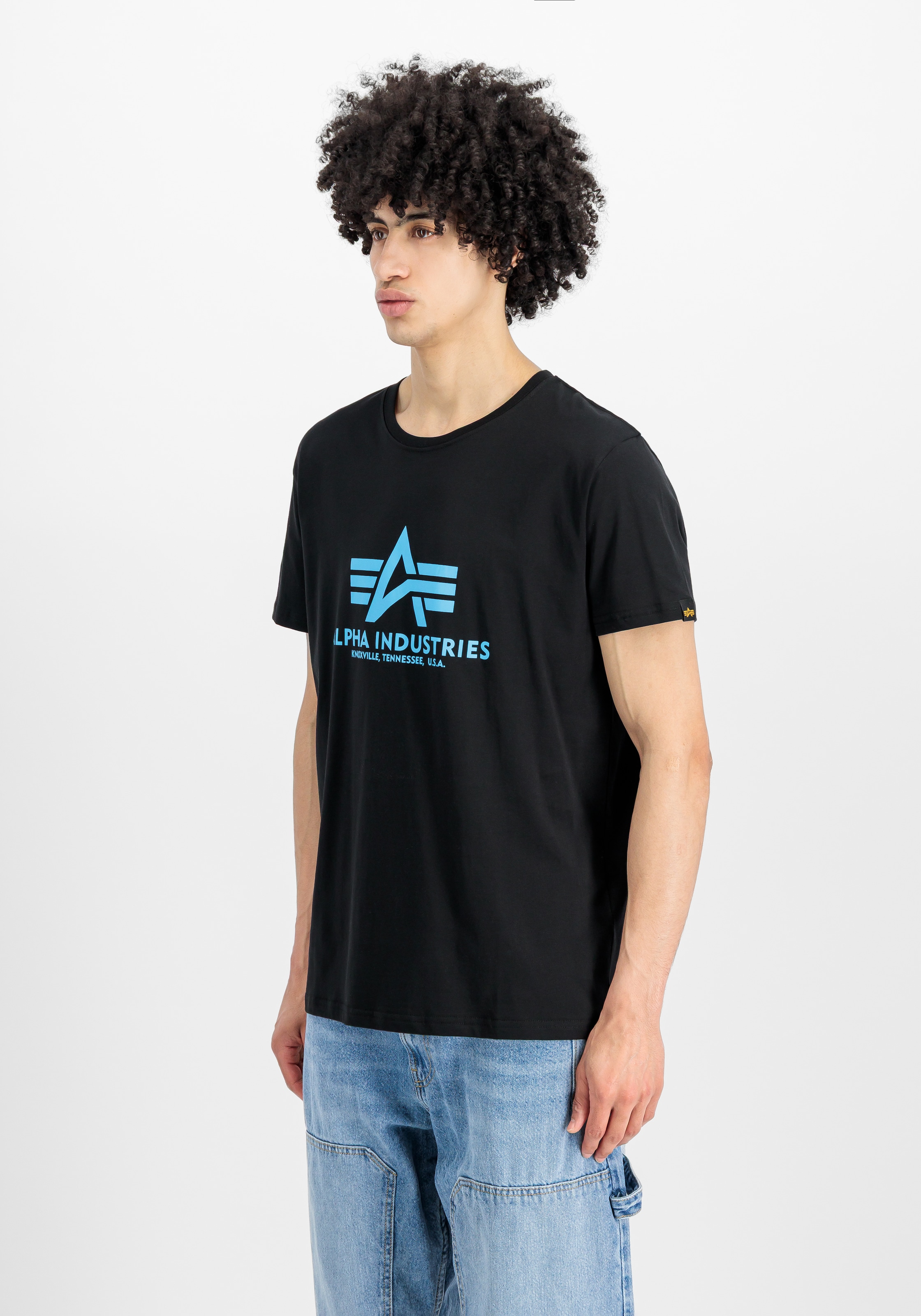 Alpha Industries T-Shirt »Basic T-Shirt« Baumwolle, regular fit