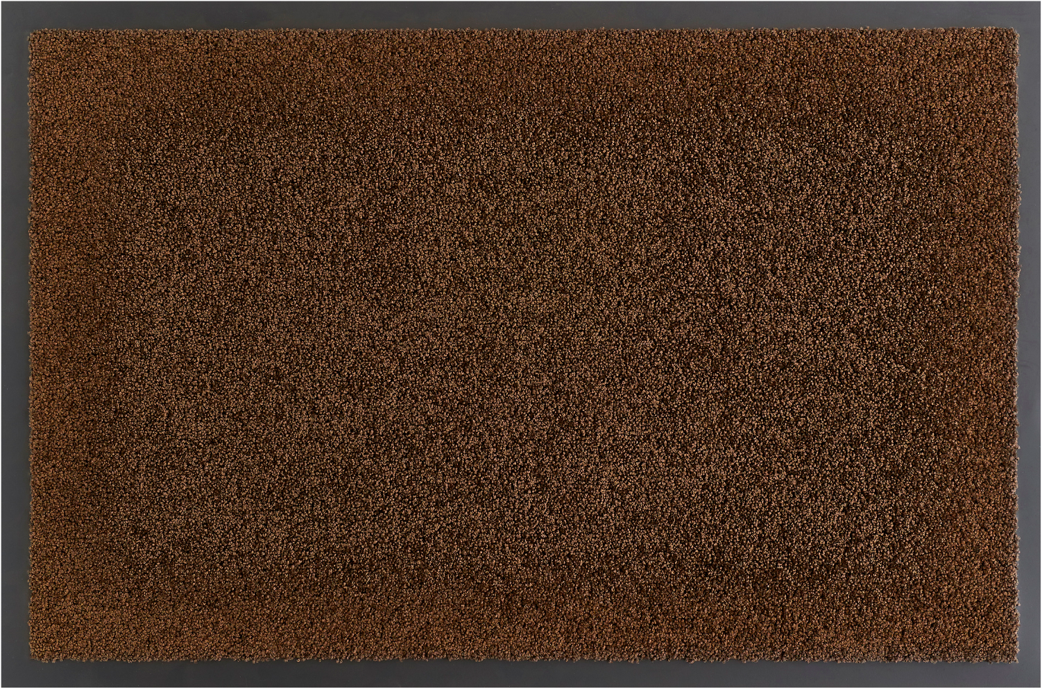 my home Fußmatte »Emil, Made in Netherlands«, rechteckig, 6 mm Höhe, Schmut günstig online kaufen
