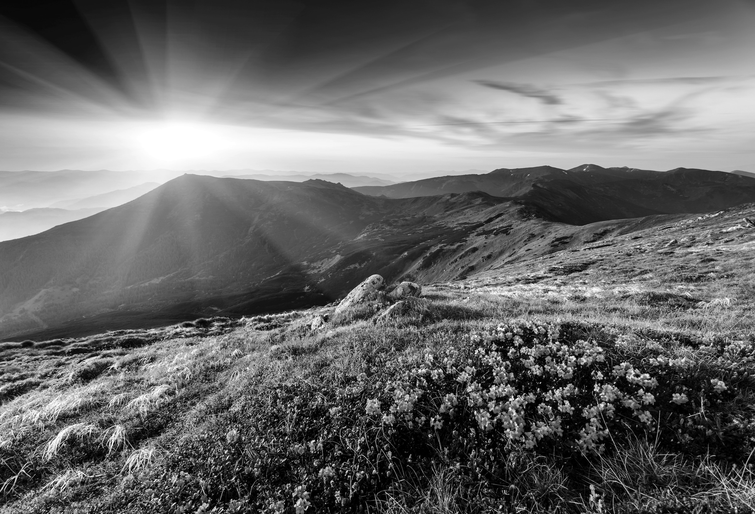 Papermoon Fototapete »Landschaft Schwarz & Weiß« günstig online kaufen