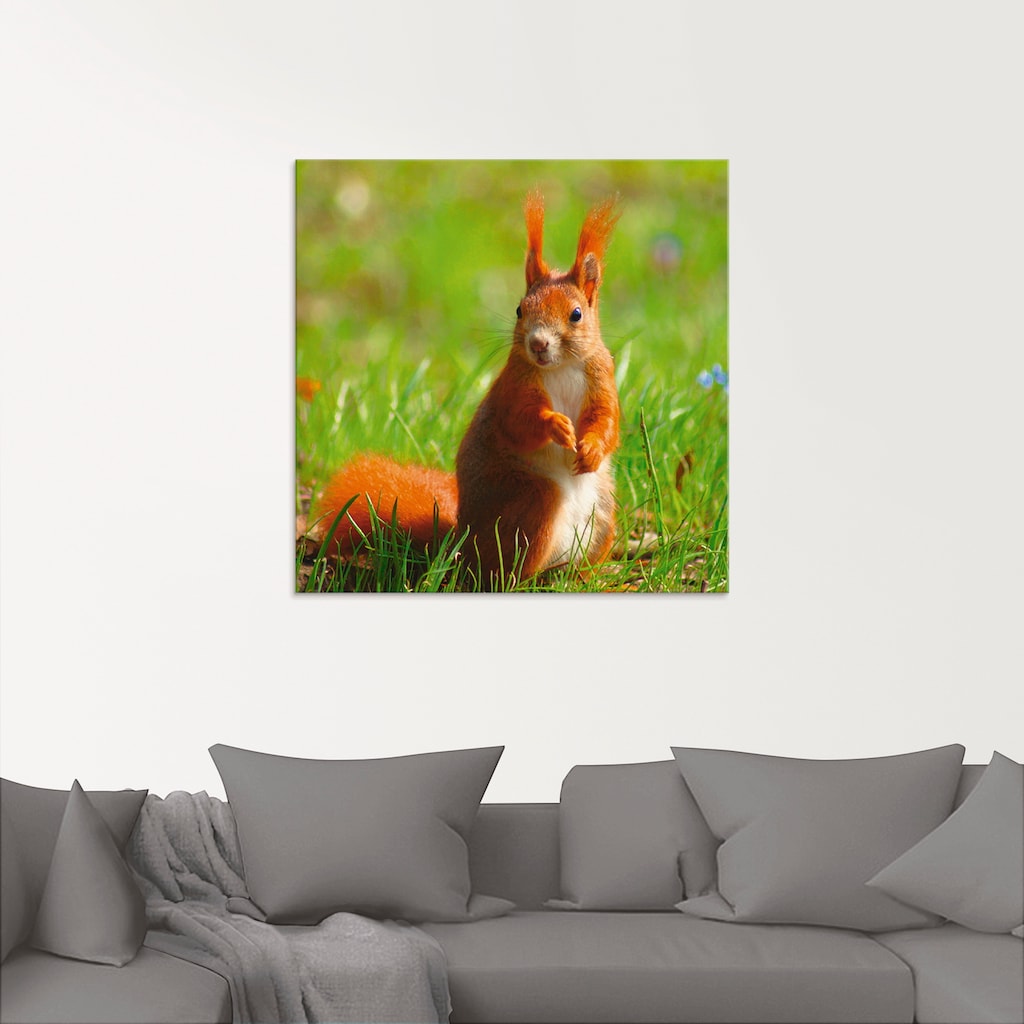 Artland Glasbild »Eichhörnchen Kontakt«, Wildtiere, (1 St.)