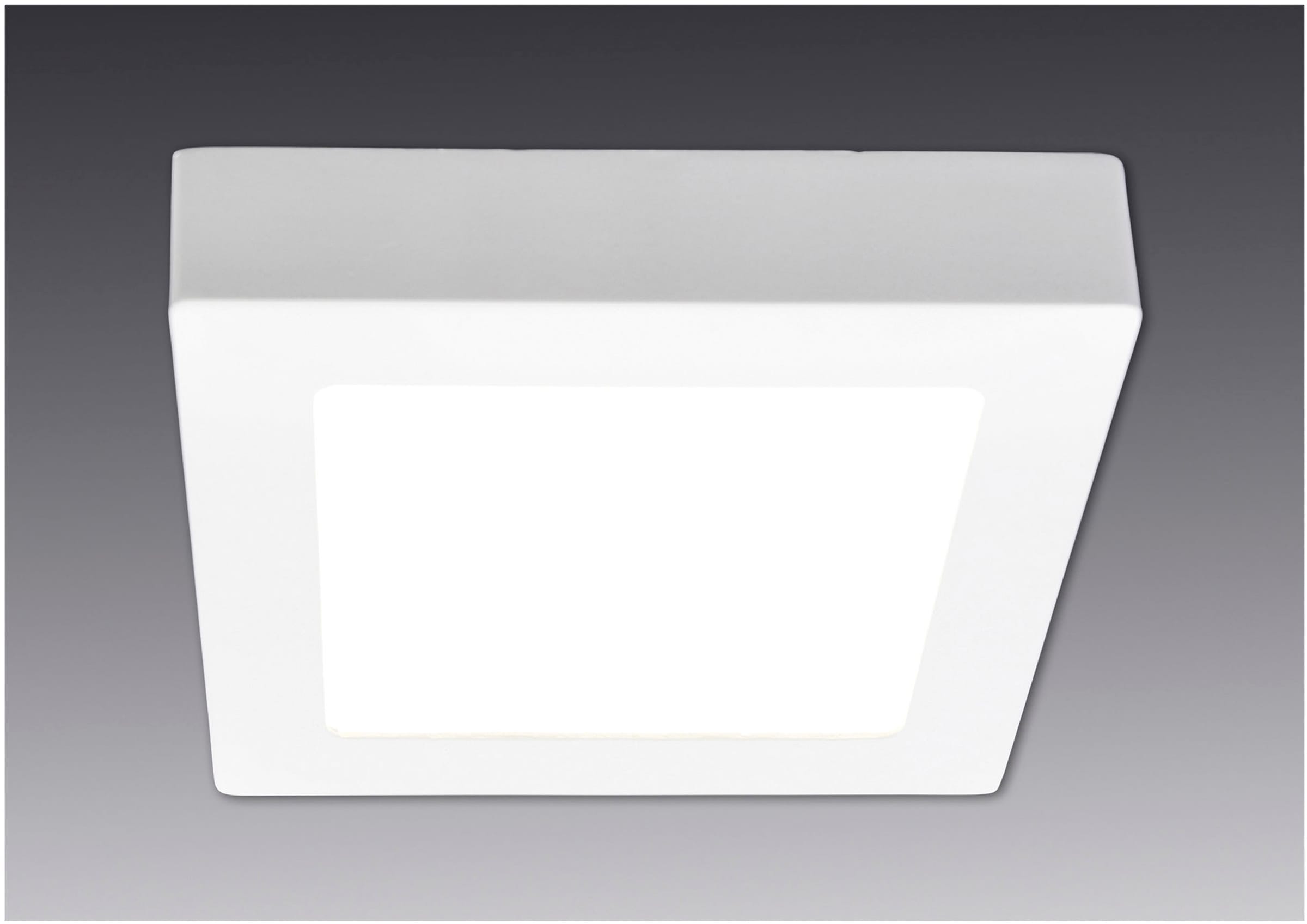 näve LED Panel »Dimplex«, 1 flammig, Leuchtmittel LED-Modul | LED fest integriert, Aufbaupanel weiß, dimmbar, Phasenabschnitt, Maße: s: 30x30cm, h:3,5cm