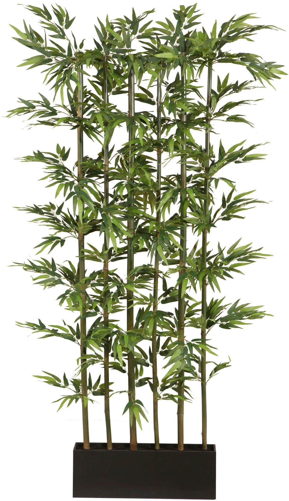 Rechnung auf green Kunstpflanze St.) »Bambus«, Creativ (1 bestellen