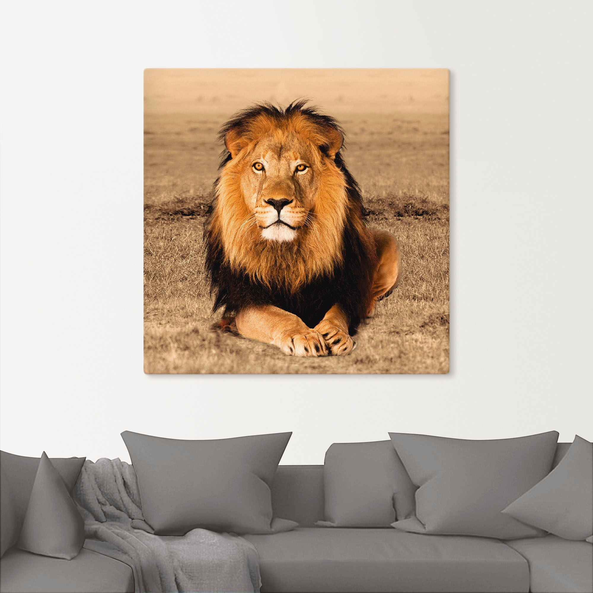 Artland Wandbild »Löwe«, Wildtiere, (1 St.), als Alubild, Outdoorbild, Lein günstig online kaufen