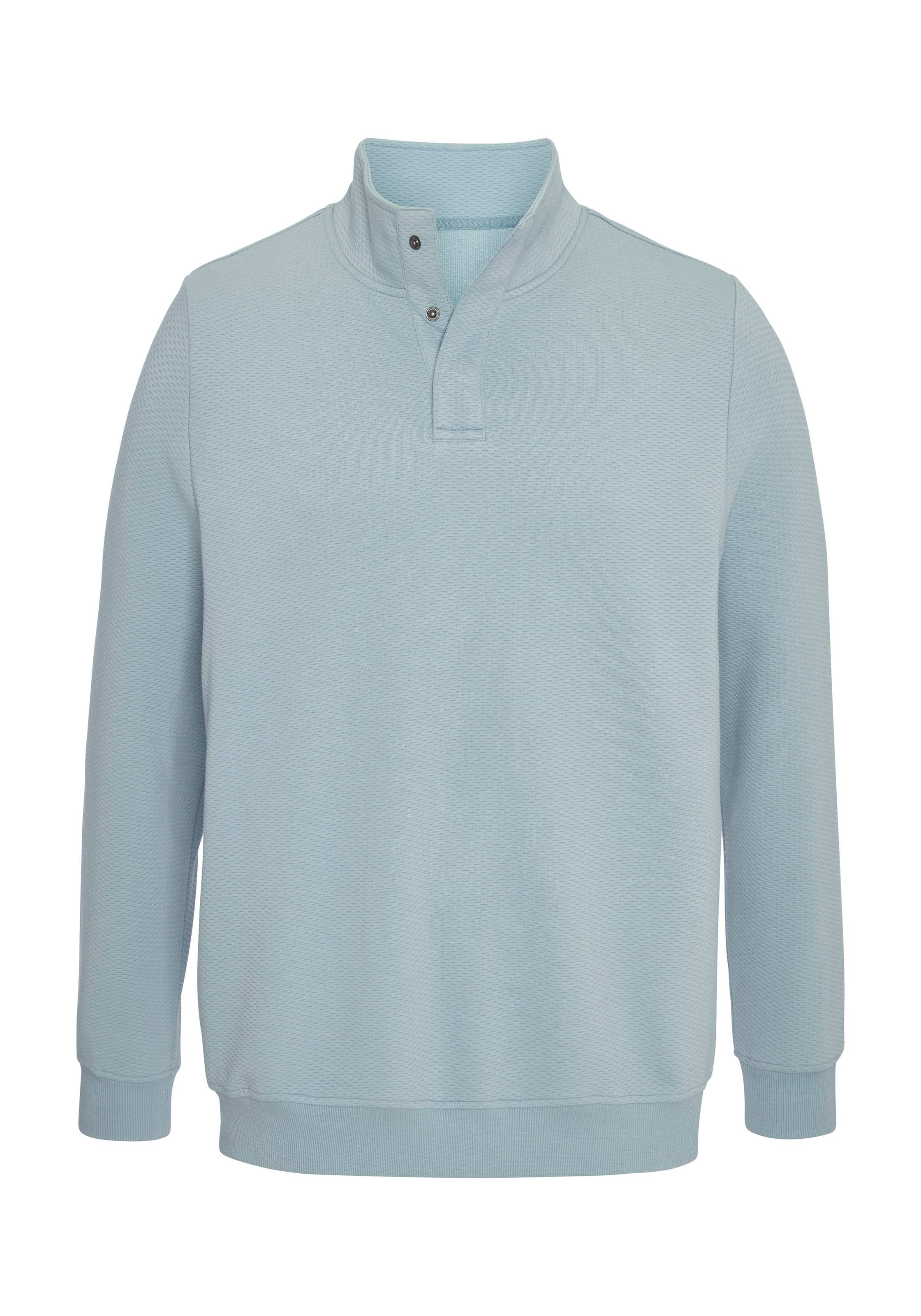 Bruno Banani Sweatshirt », Troyer«, Stehkragen, aus weicher Struktur-Qualität
