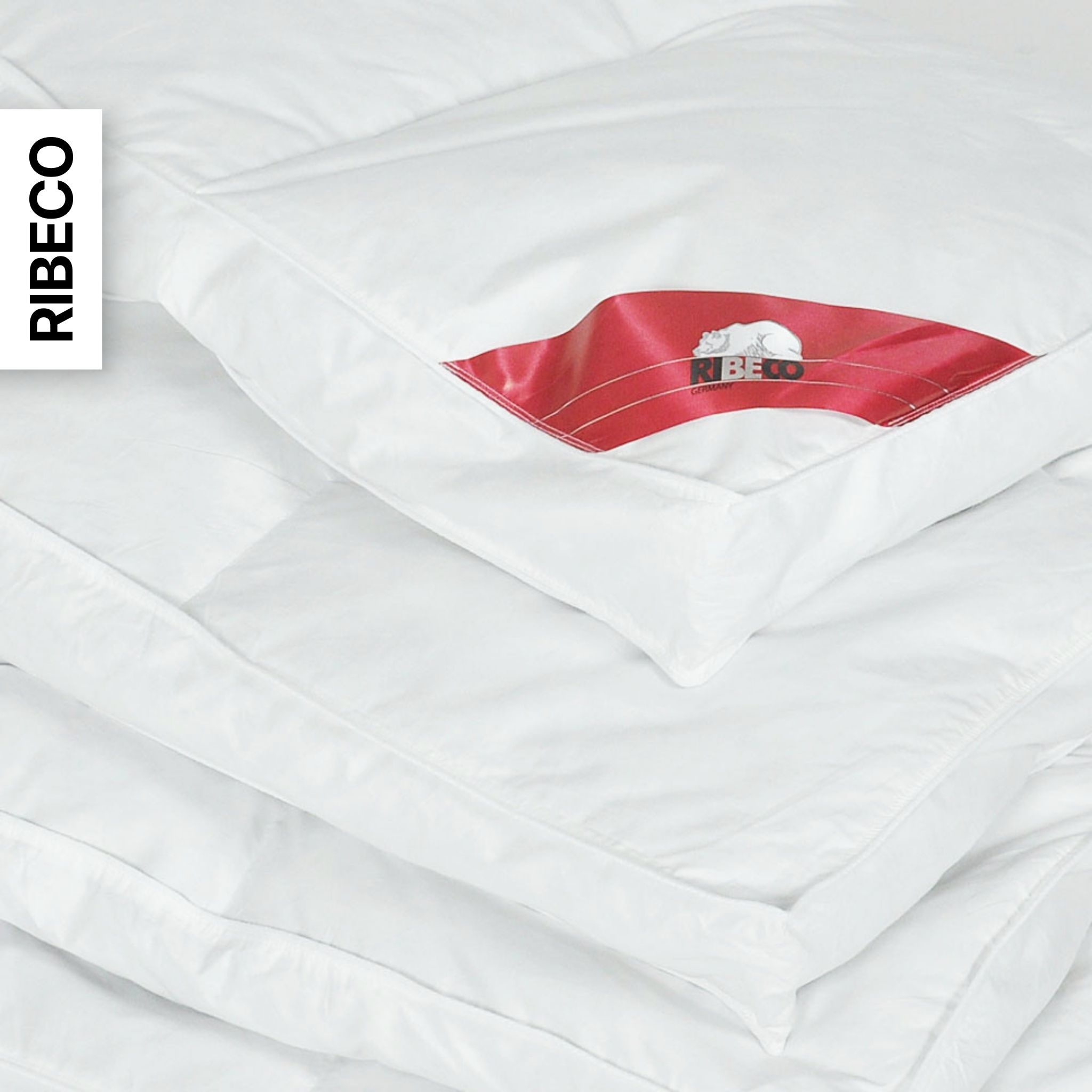 RIBECO Federbettdecke »Bettdecke in 135x200 und 155x220cm Topseller,« extrawarm Füllung 50% Daunen & 50% Federn 1 Stk. tlg. Daunen und Federn, Made in Germany, mit gratis 80x80 cm Kissen