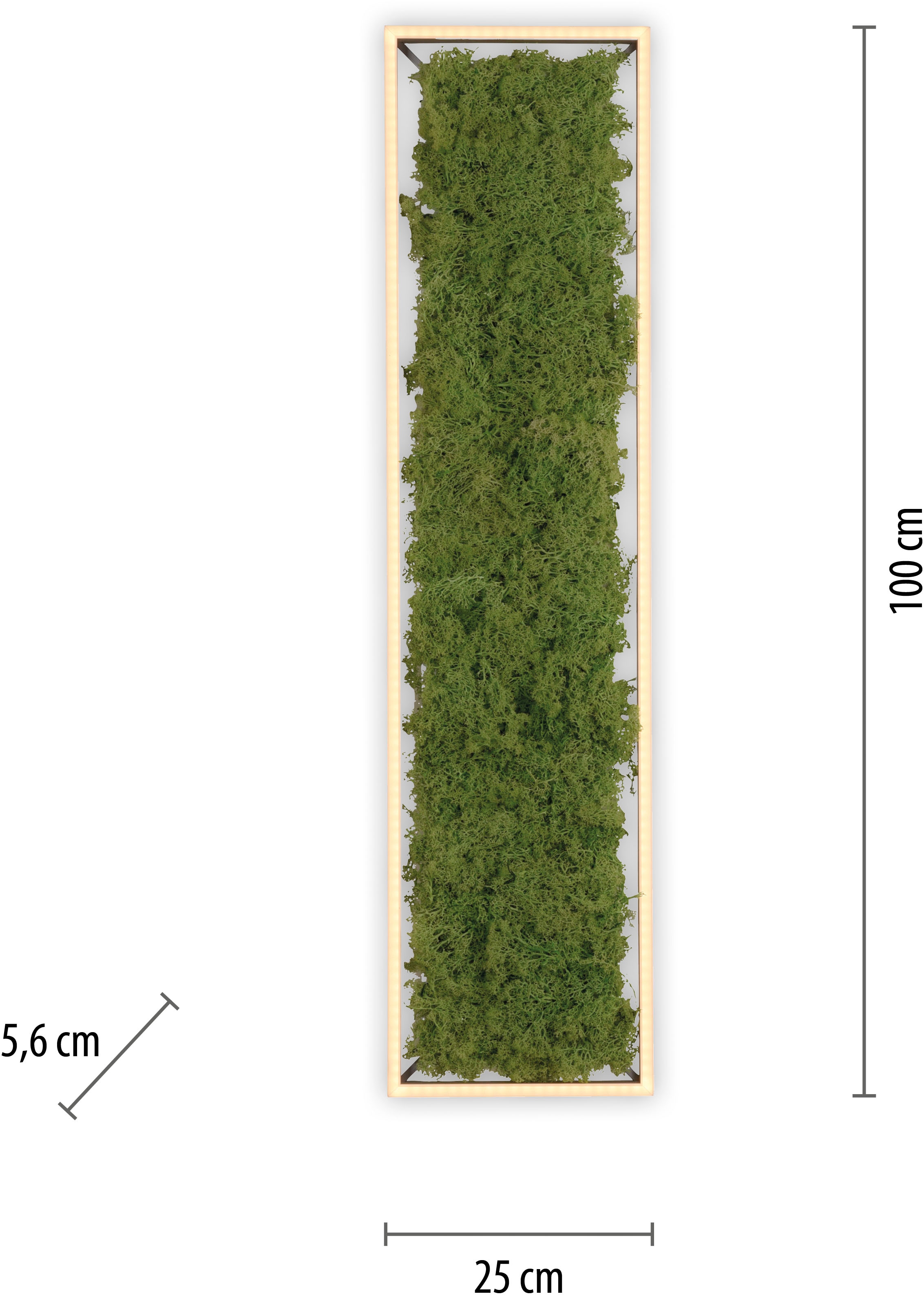 JUST LIGHT Deckenleuchte »GREEN KNUT«, 1 flammig, Leuchtmittel LED-Board | LED fest integriert