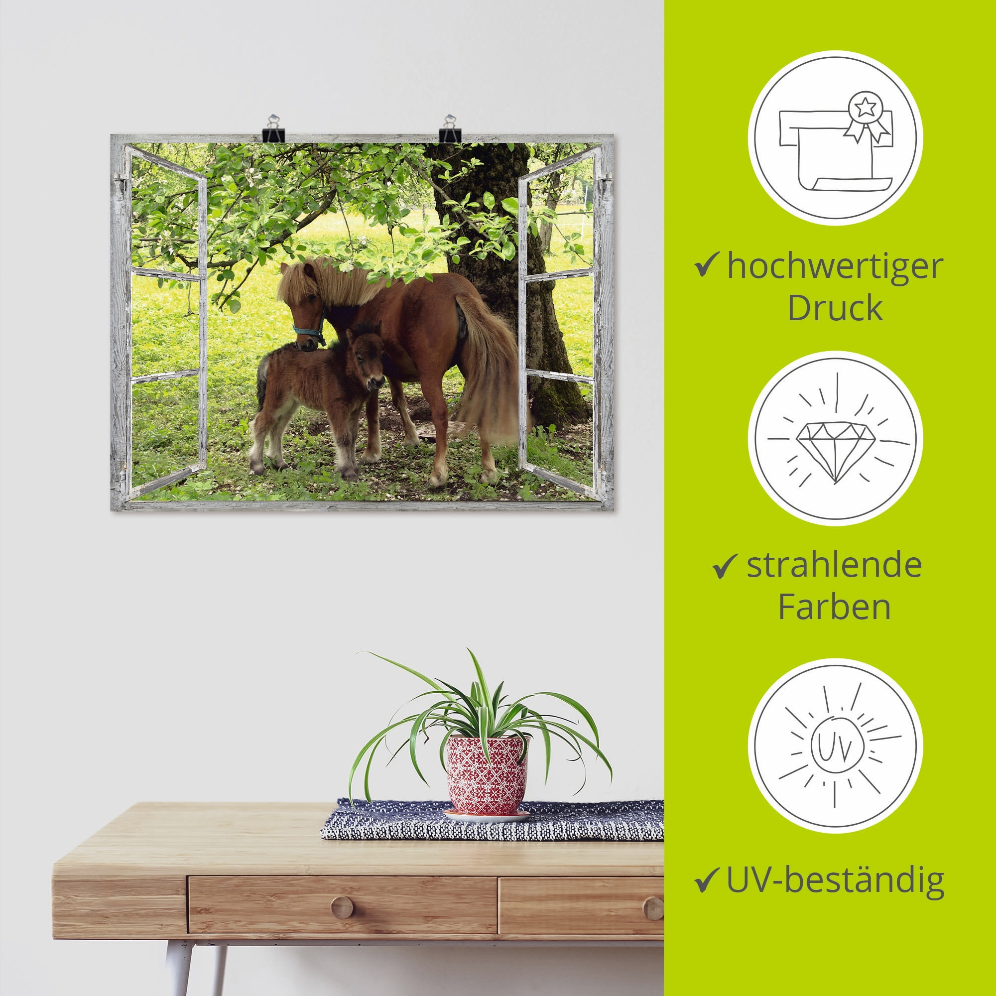 Artland Wandbild »Fensterblick - Pony mit Kind«, Haustiere, (1 St.), als Leinwandbild, Poster, Wandaufkleber in verschied. Größen