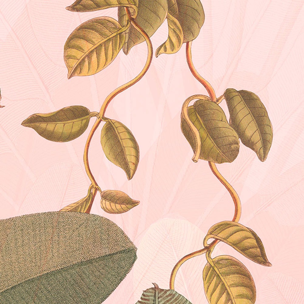 Komar Fototapete »Dot - selbstklebende Vlies Fototapete - Botany - Größe 125 x 125 cm« Motiv | bedruckt glatt