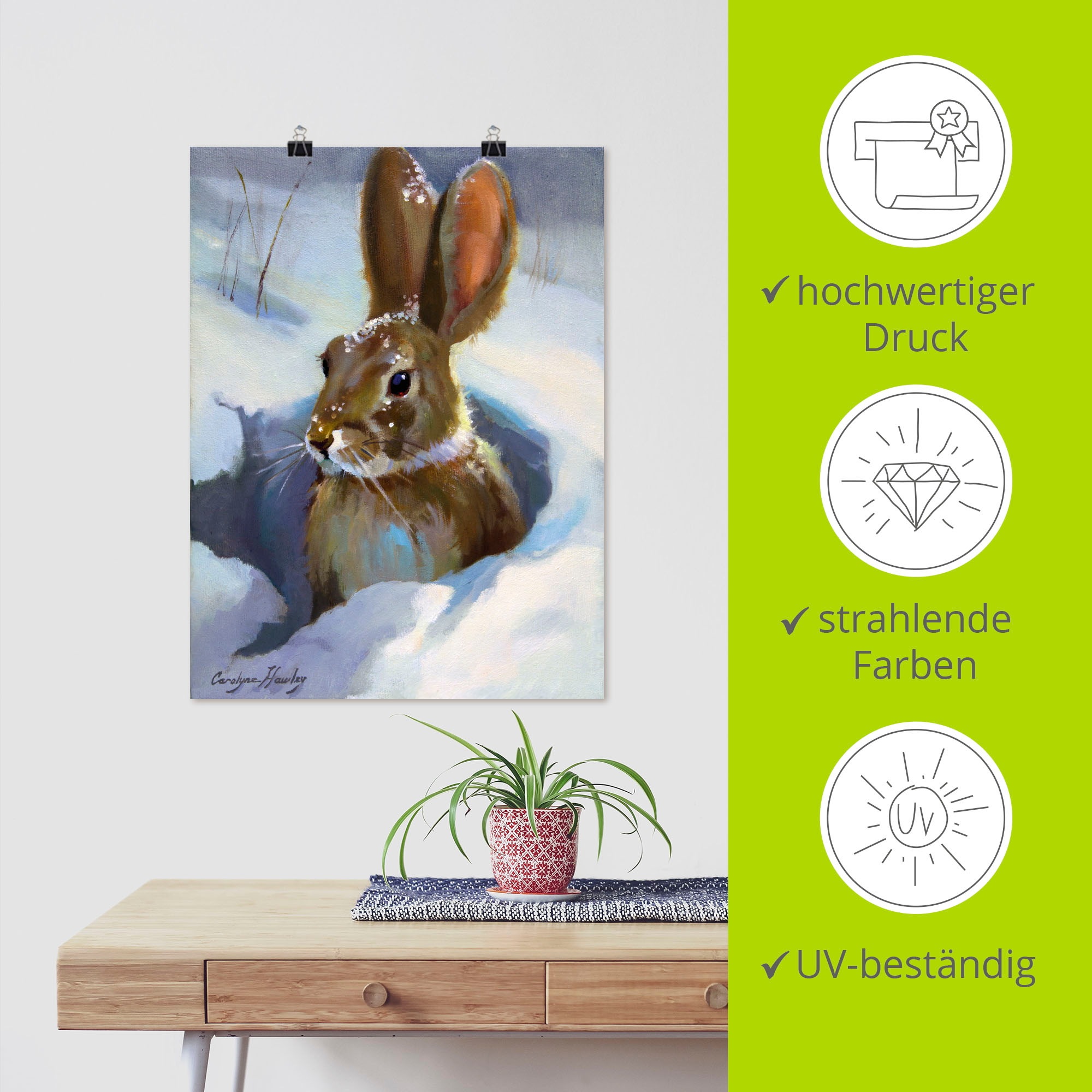 Artland Wandbild »Schneehase«, Wildtiere, (1 St.), als Leinwandbild, Poster in verschied. Größen