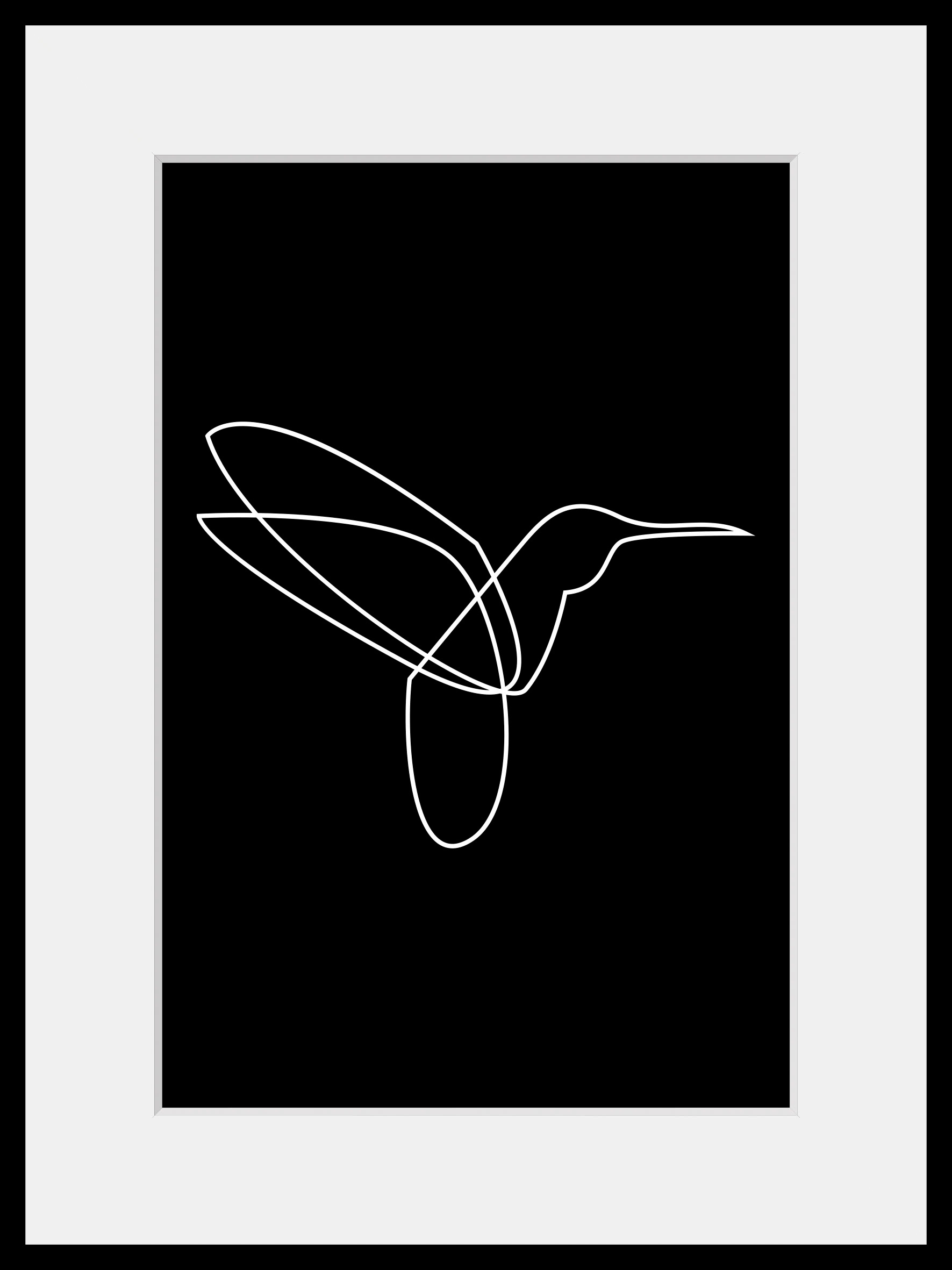 queence Bild »Flash« Kunst   Schwarz-Weiß   Vogelbilder   Vögel 1 Stk. tlg. günstig online kaufen