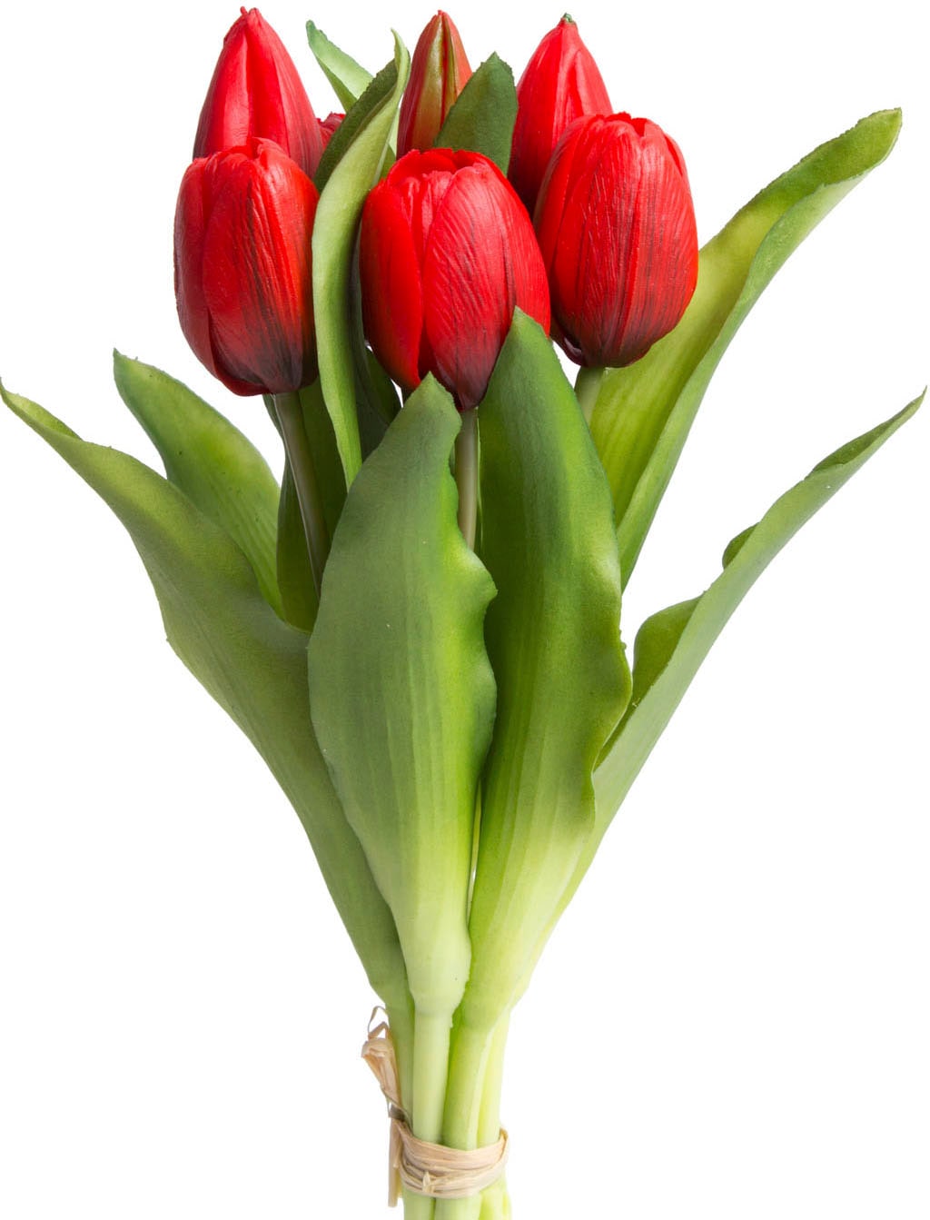 »Willa«, Botanic-Haus bestellen Raten 7er-Set Tulpenbündel auf im Kunstblume