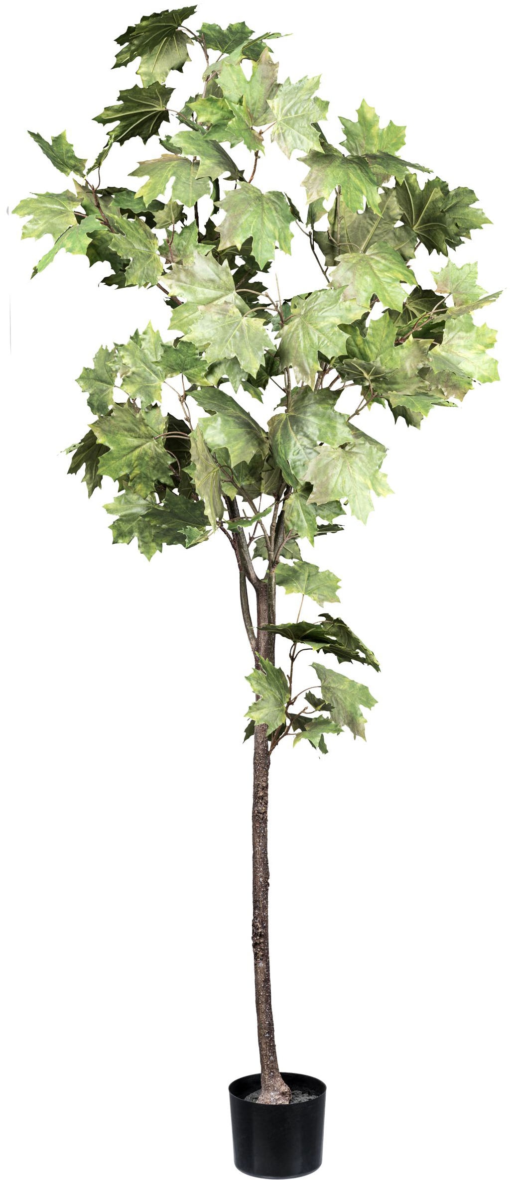 Creativ green Kunstbaum »Ahornbaum«, mit detailgetreuen Blättern günstig online kaufen