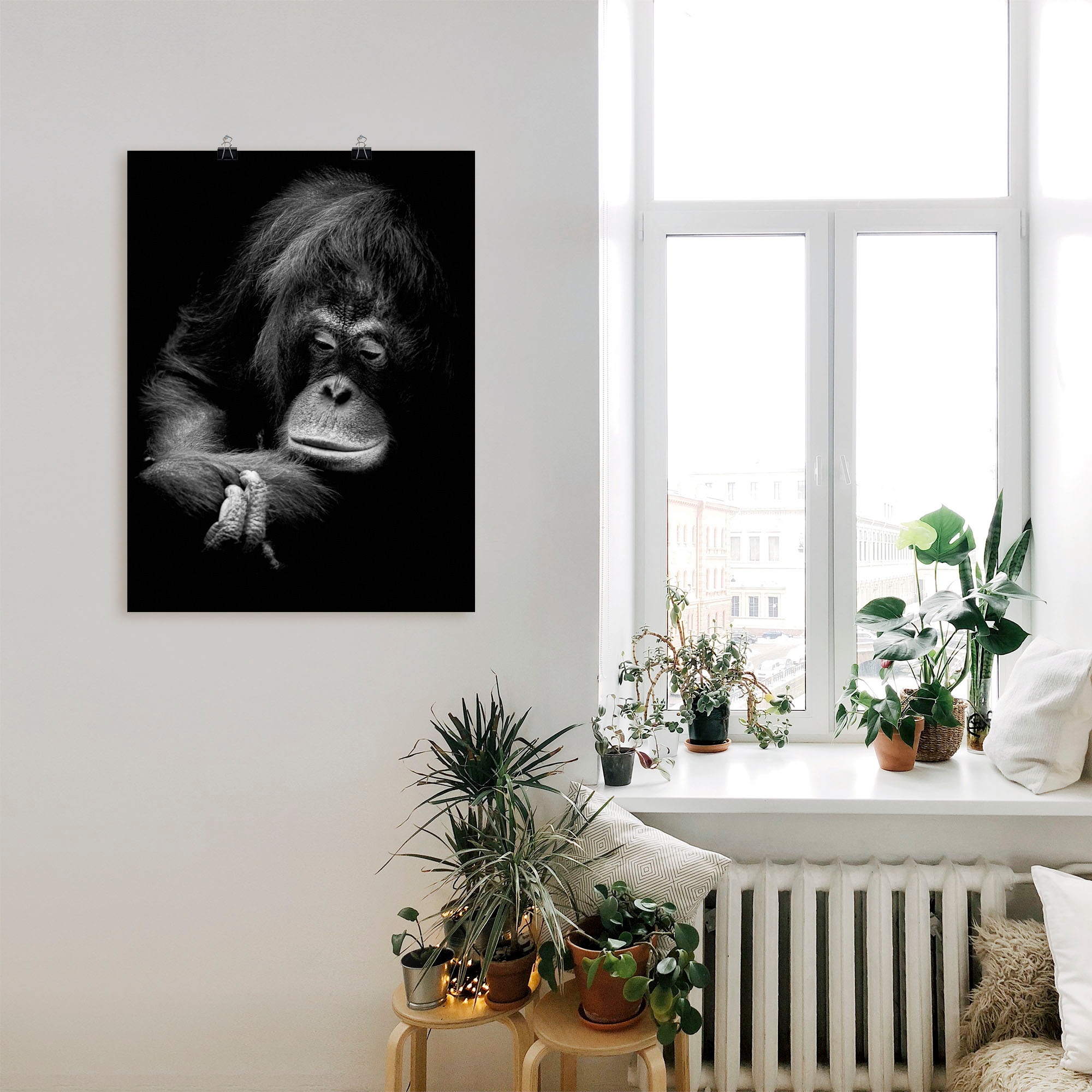 Artland Poster »Der nachdenkliche Orang Utan«, Affenbilder, (1 St.), als Alubild, Leinwandbild, Wandaufkleber oder Poster in versch. Größen