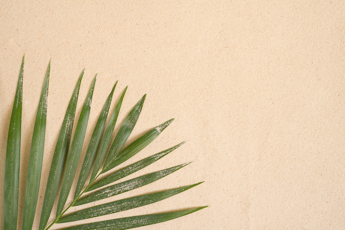 A.S. Création Vliestapete »Botanik-Tapete Palmenblatt Sand Beige Grün« matt günstig online kaufen