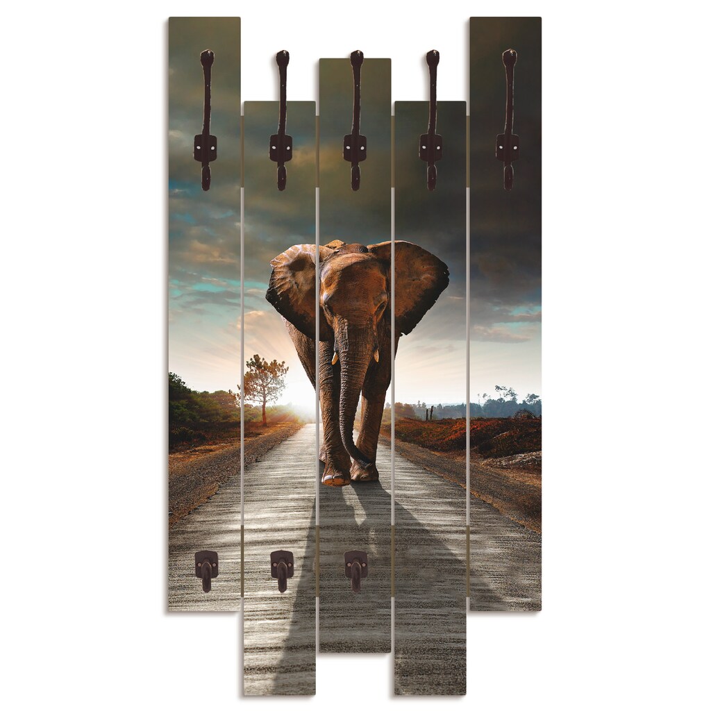 Artland Garderobenleiste »Ein Elefant läuft auf der Straße«