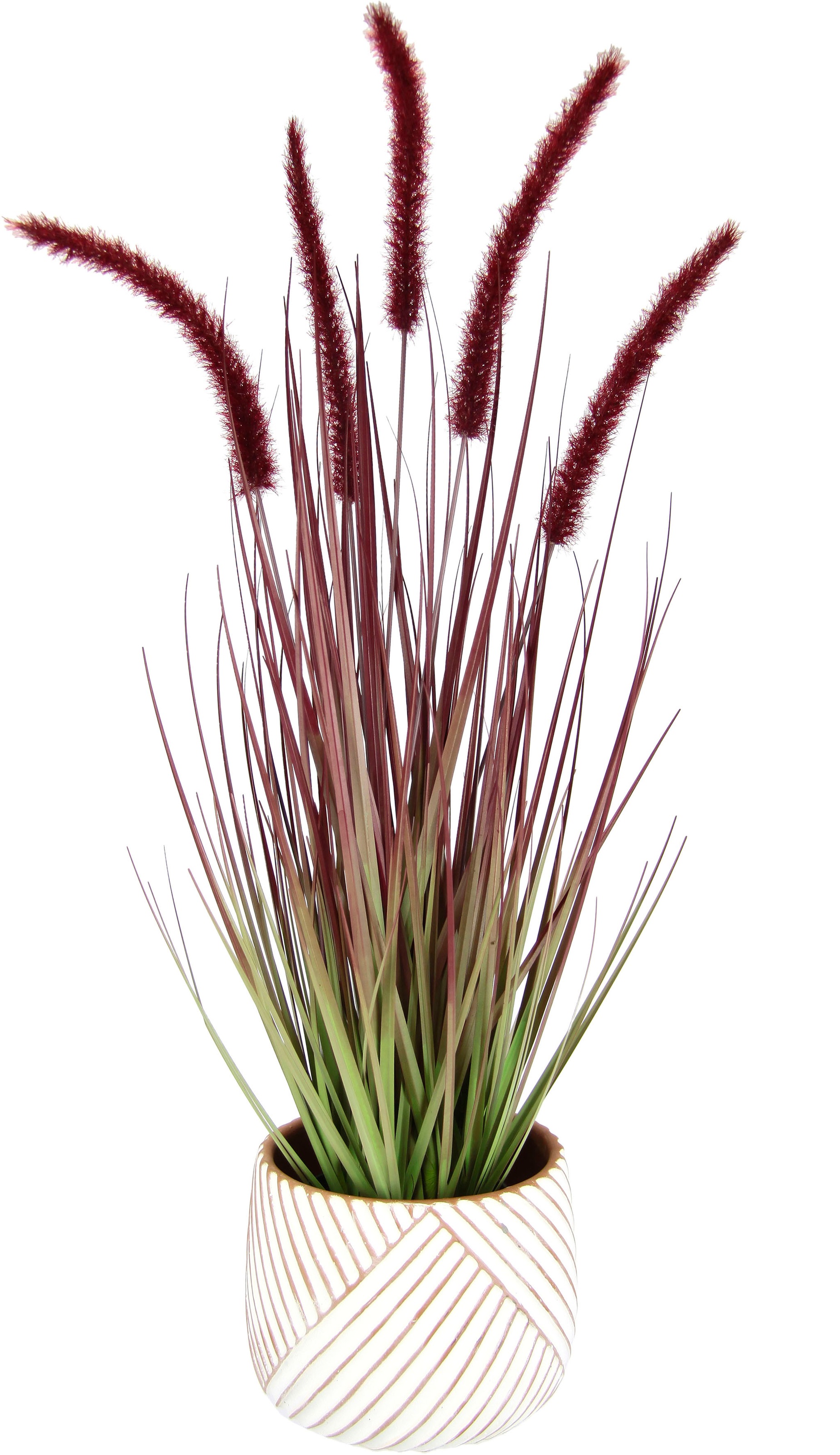 I.GE.A. Kunstpflanze »Fuchsschwanzgras« Mit Übertopf Kunstgras Deko Borsten günstig online kaufen