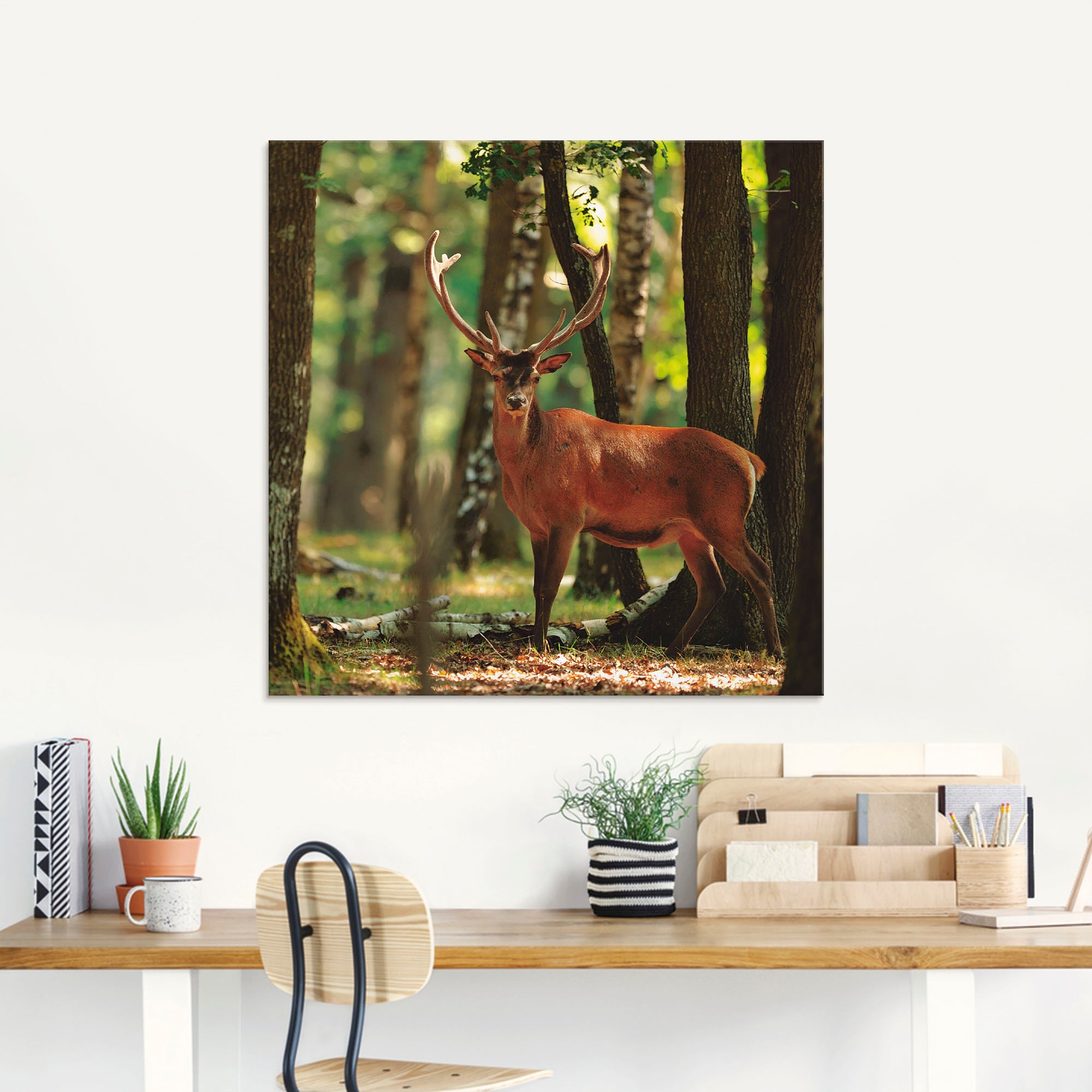 Artland Glasbild »Hirsch 4 - Wald«, Wildtiere, (1 St.), in verschiedenen Größen