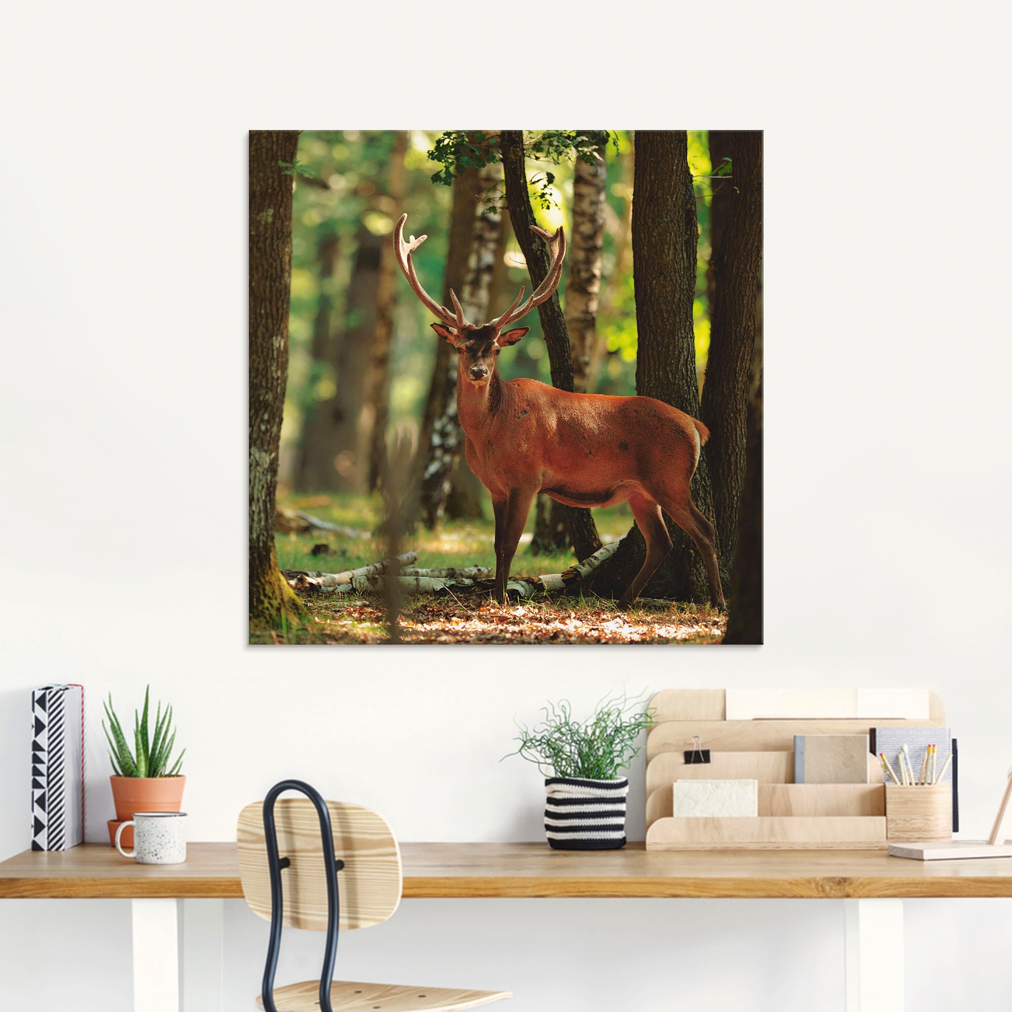 Artland Glasbild »Hirsch verschiedenen 4 bestellen Größen - online Wildtiere, in Wald«, St.), (1