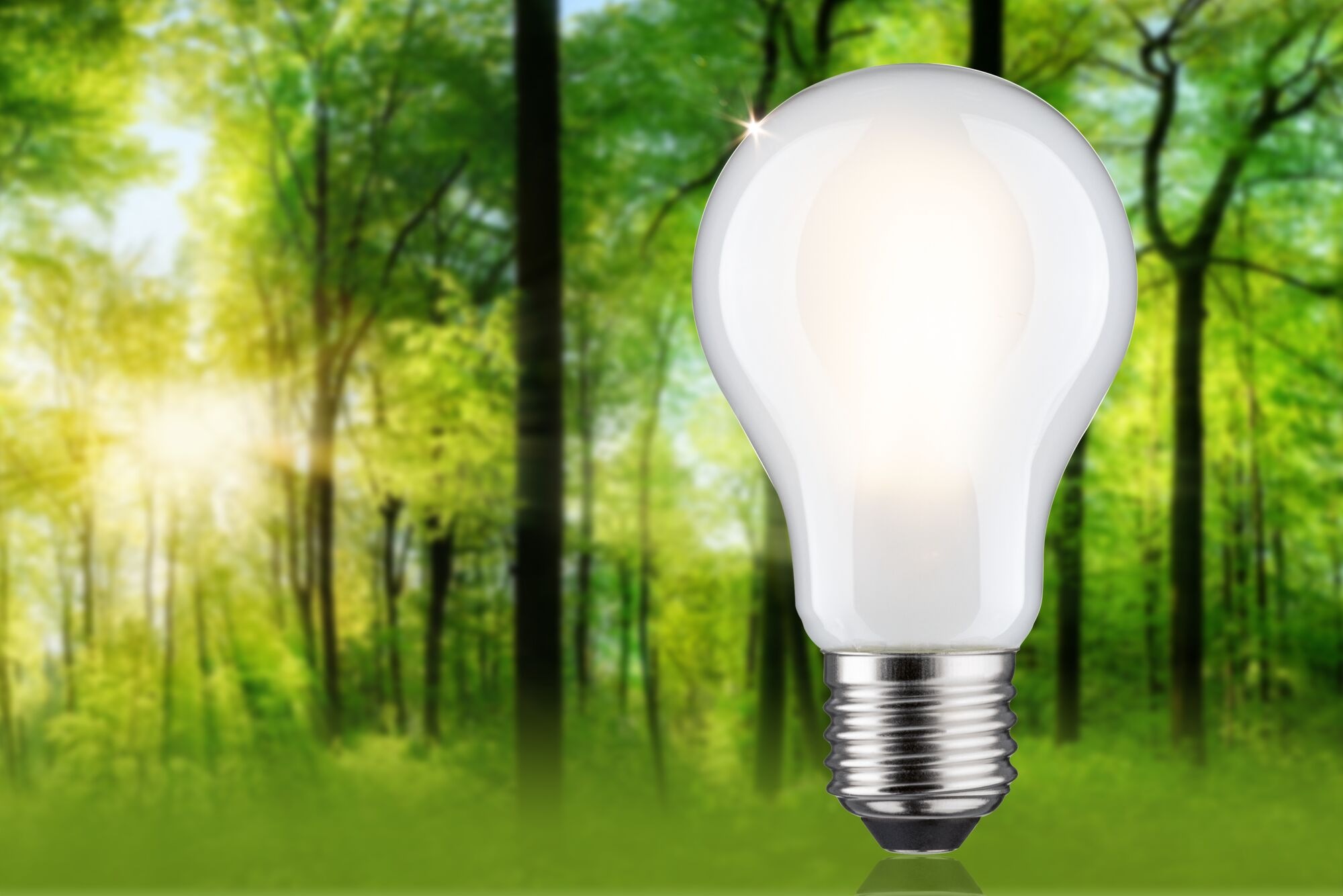 Paulmann LED-Leuchtmittel »Eco-Line Filament 230V LED Birne E27 1055lm 5,7W günstig online kaufen