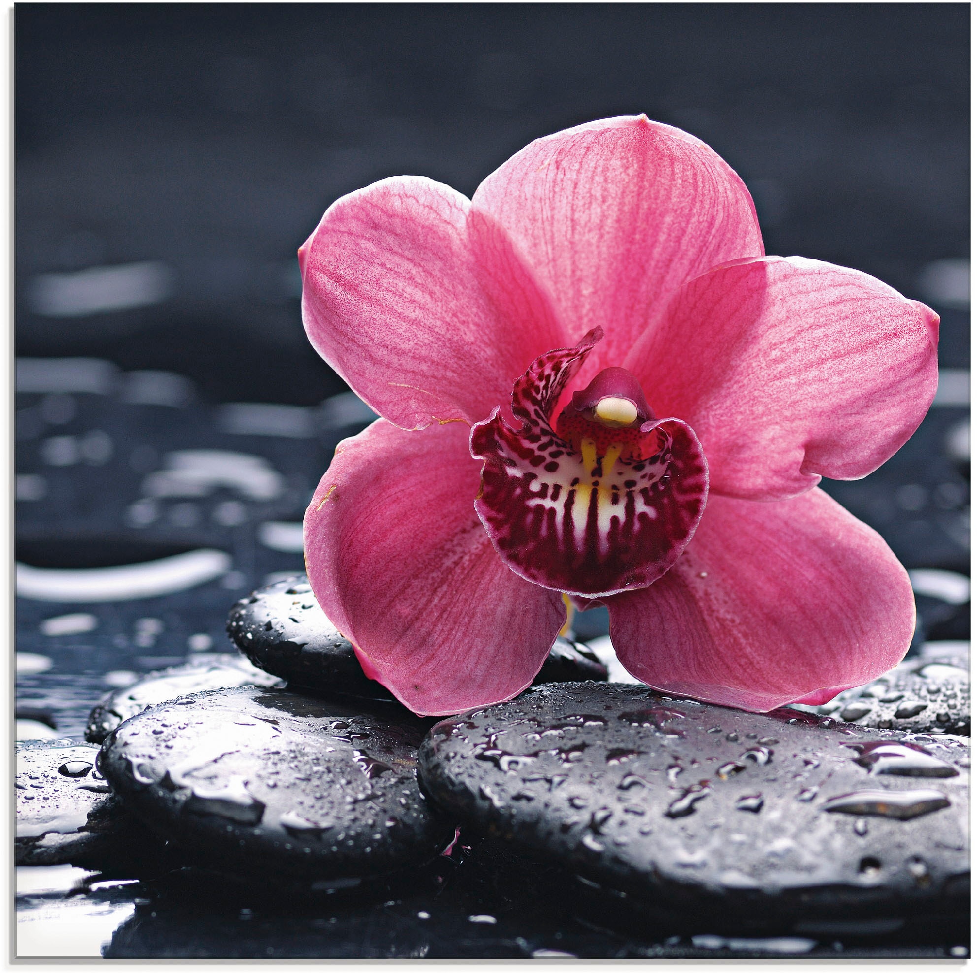 Artland Glasbild »Stillleben mit Kiesel und einer Orchidee«, Blumen, (1 St.),  in verschiedenen Größen online bestellen