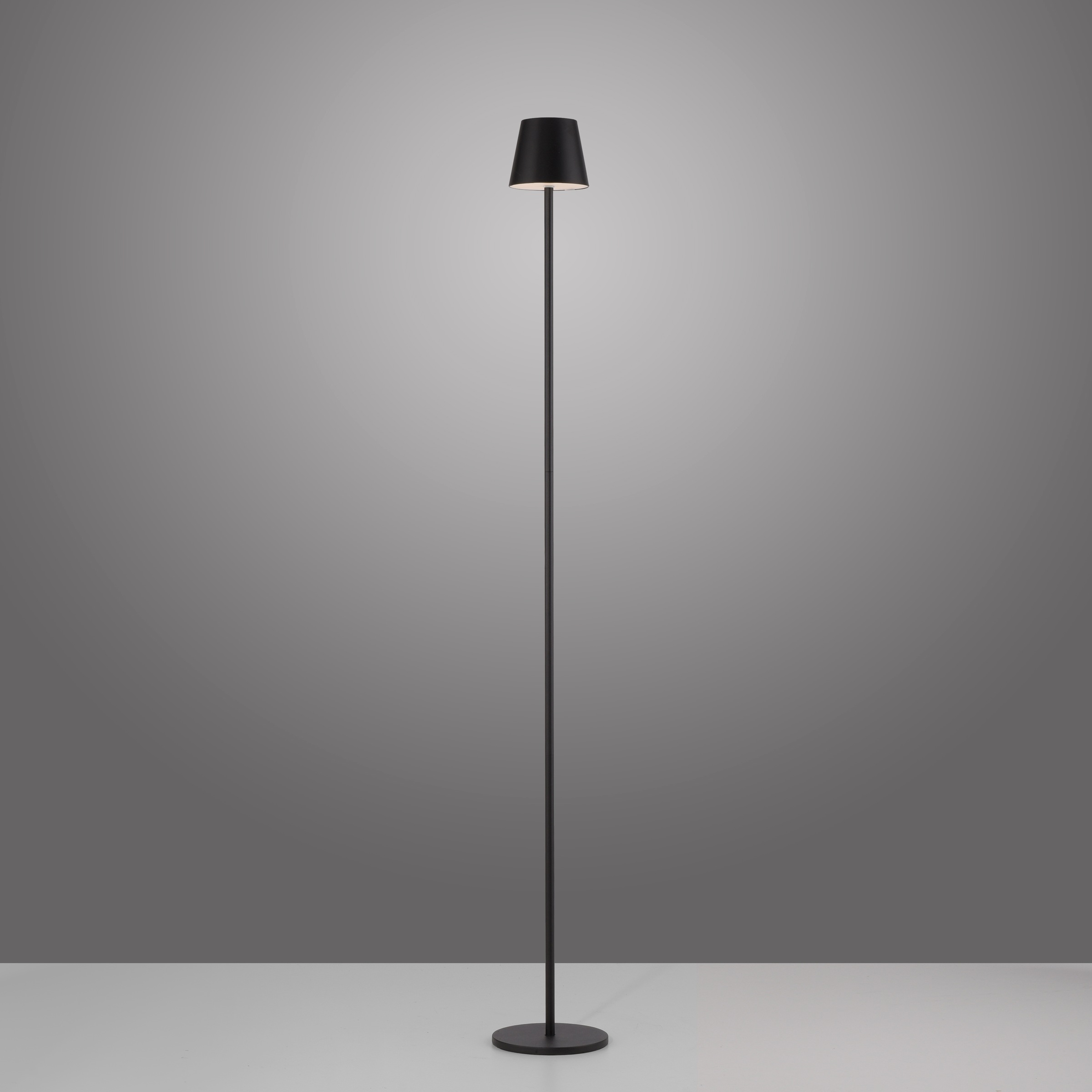 JUST LIGHT Stehlampe »EURIA«, 1 flammig, Leuchtmittel LED-Modul | LED fest integriert, Akkuleuchte